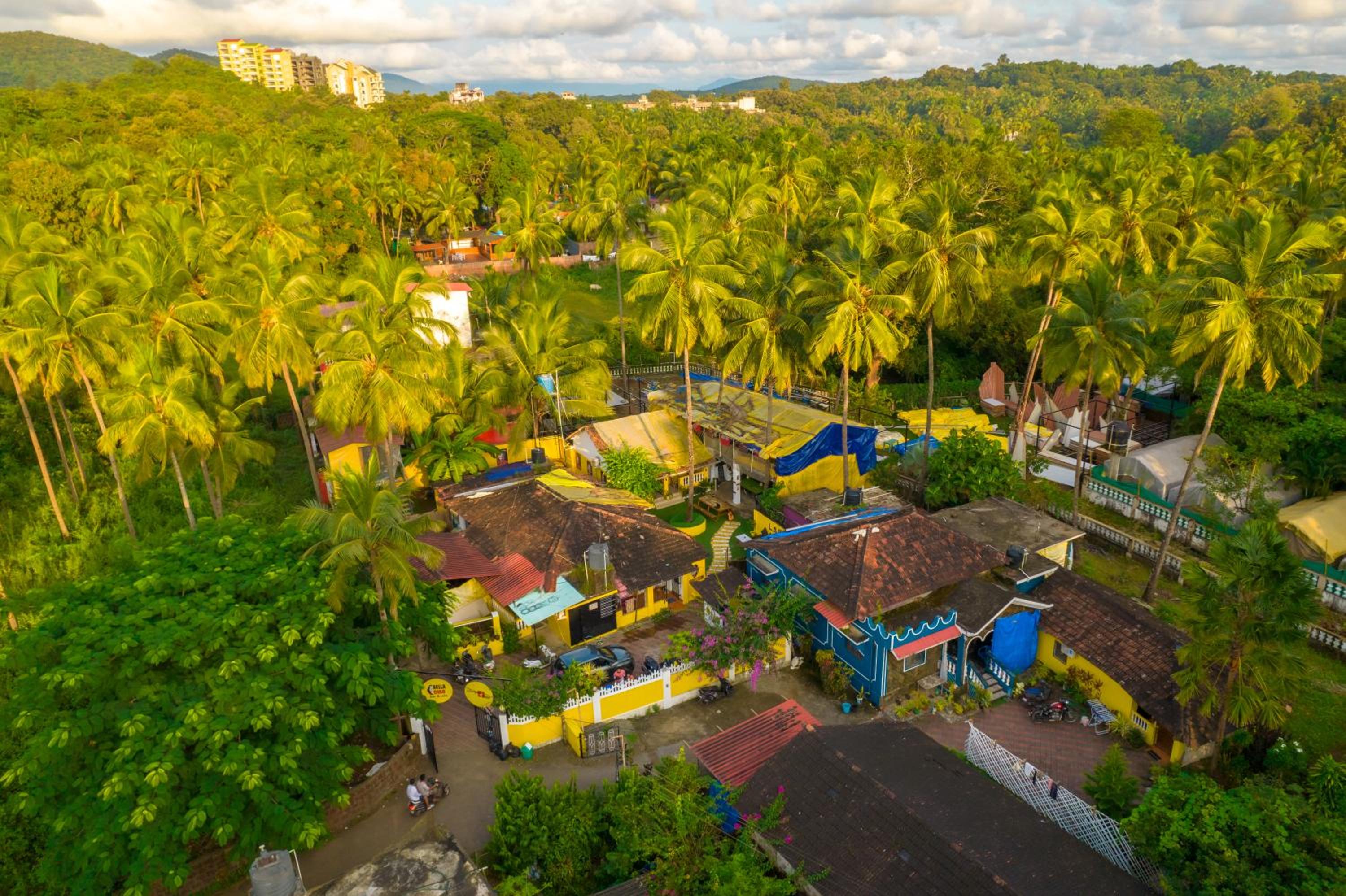 Whoopers Hostel Palolem- Money Heist Themed
