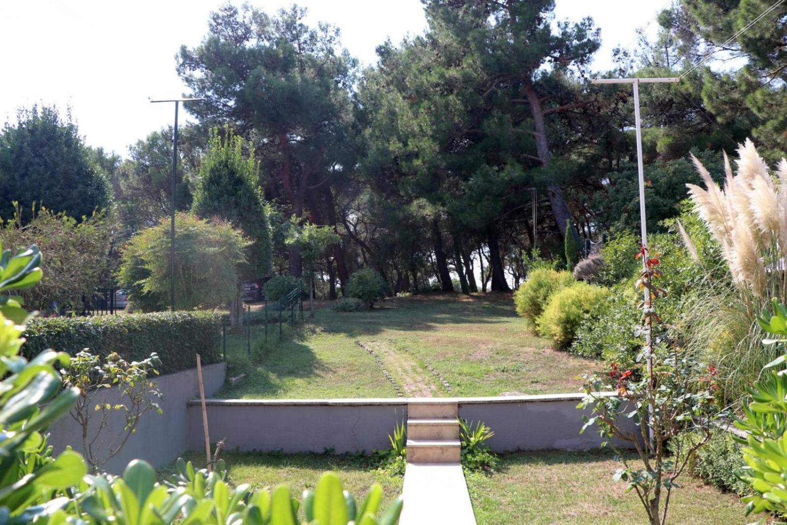 Photo 45