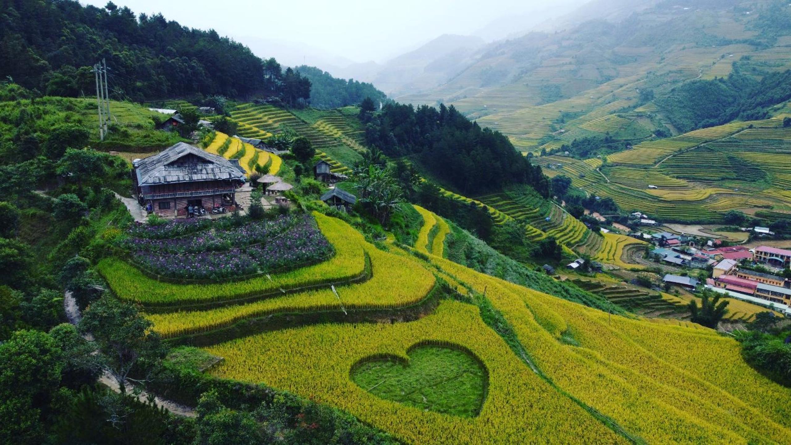 Mu Cang Chai Big View Homestay - Rice Terrace & Mountain View view 2