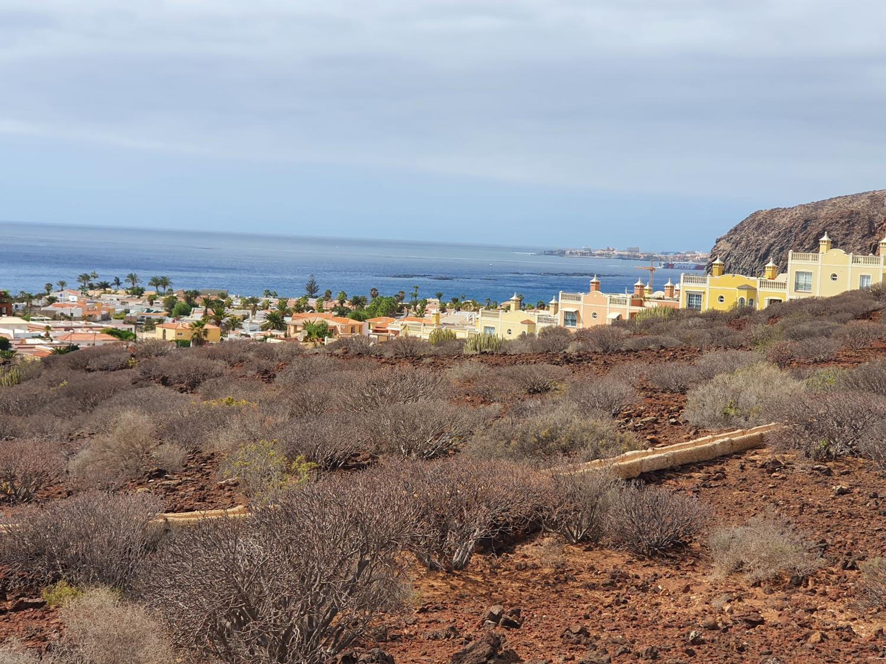 Oasis de calma