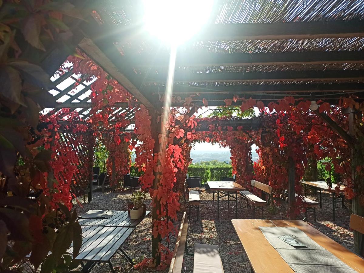 outdoor BBQ area