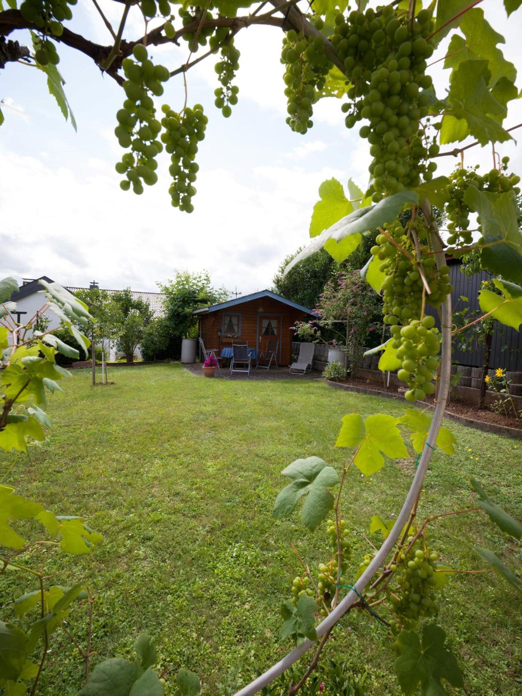 Ferienwohnung Christel Lorenz en Merzig — other