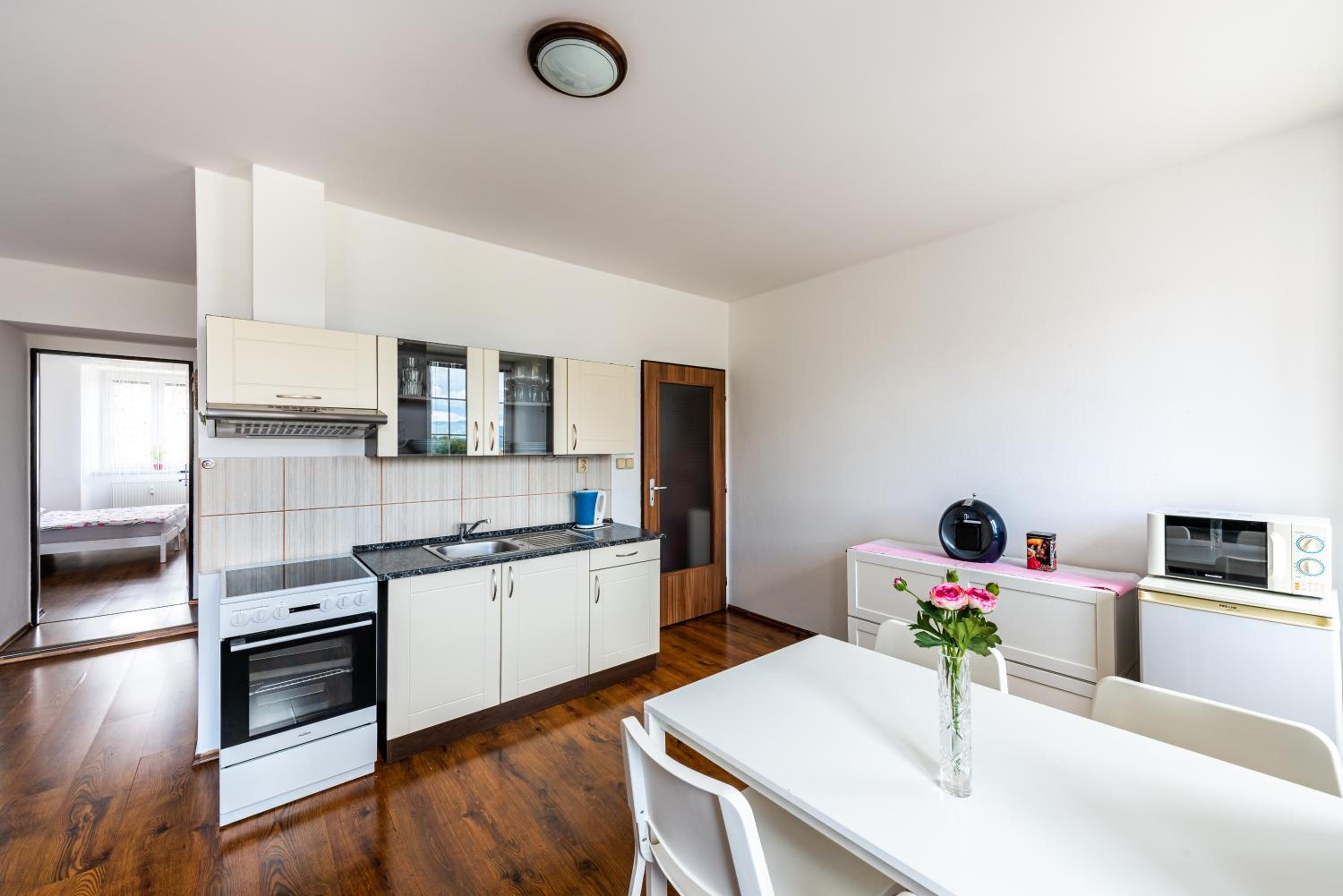 Apartmán Hartmanice view 3