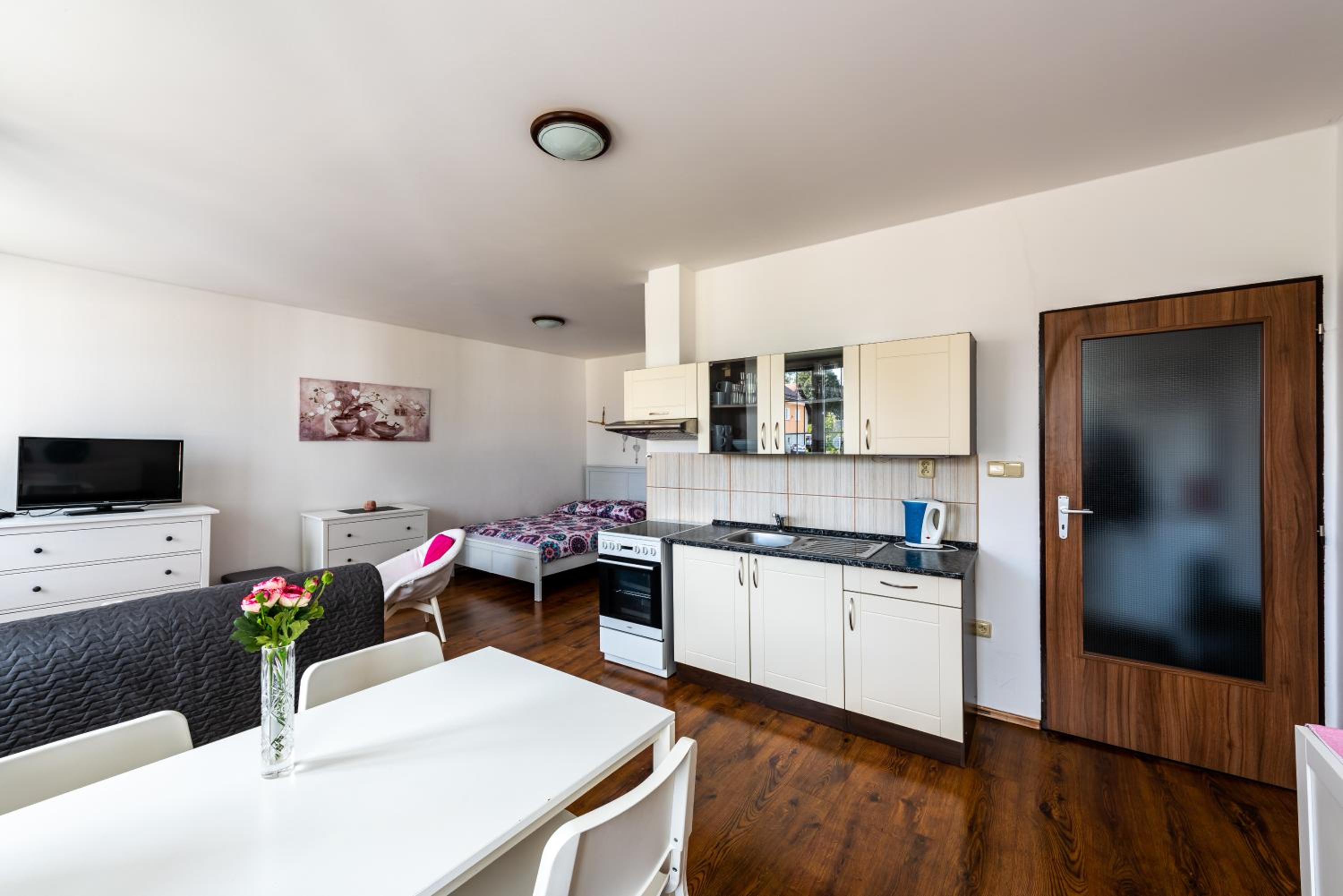 Apartmán Hartmanice view 2