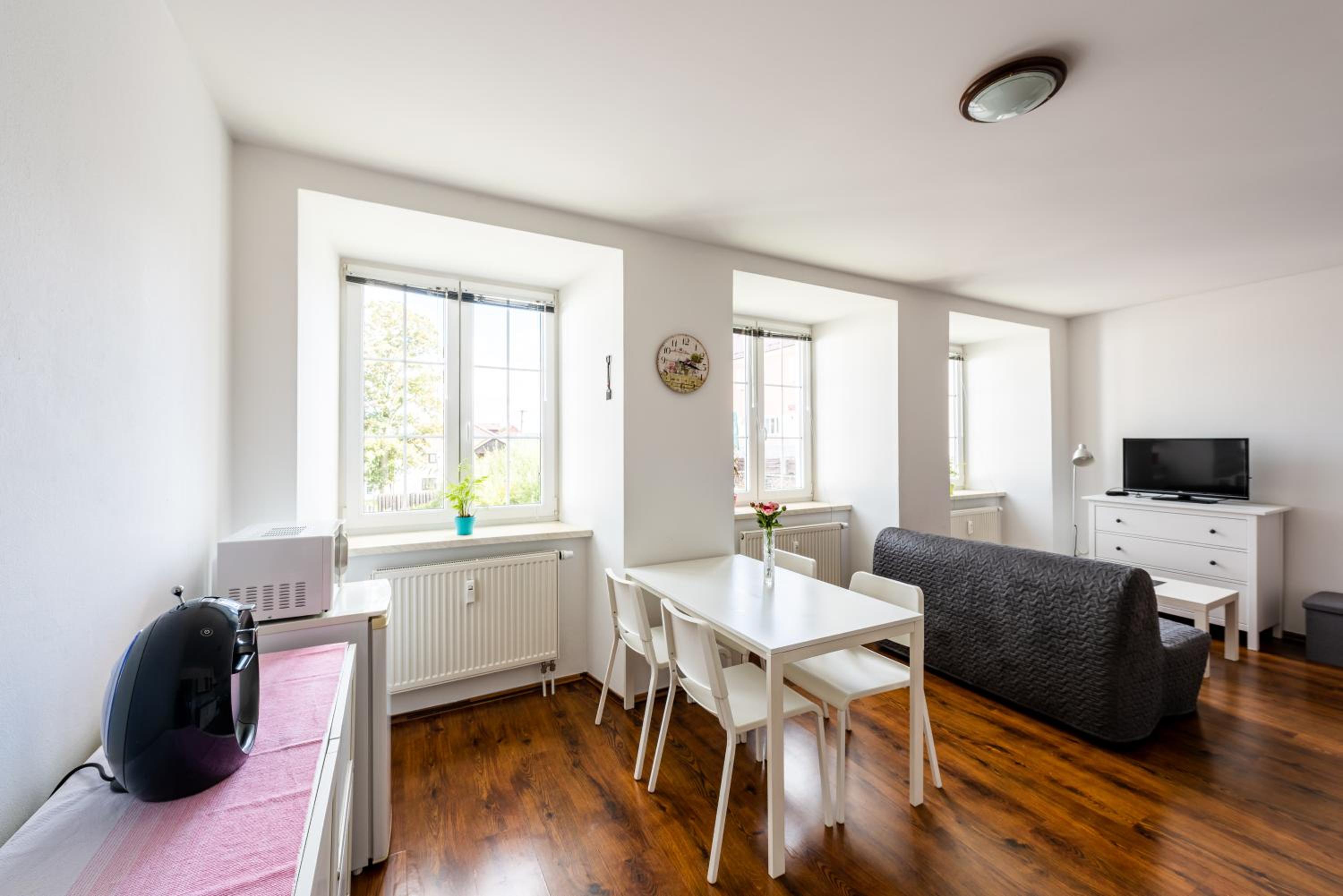 Apartmán Hartmanice view 5