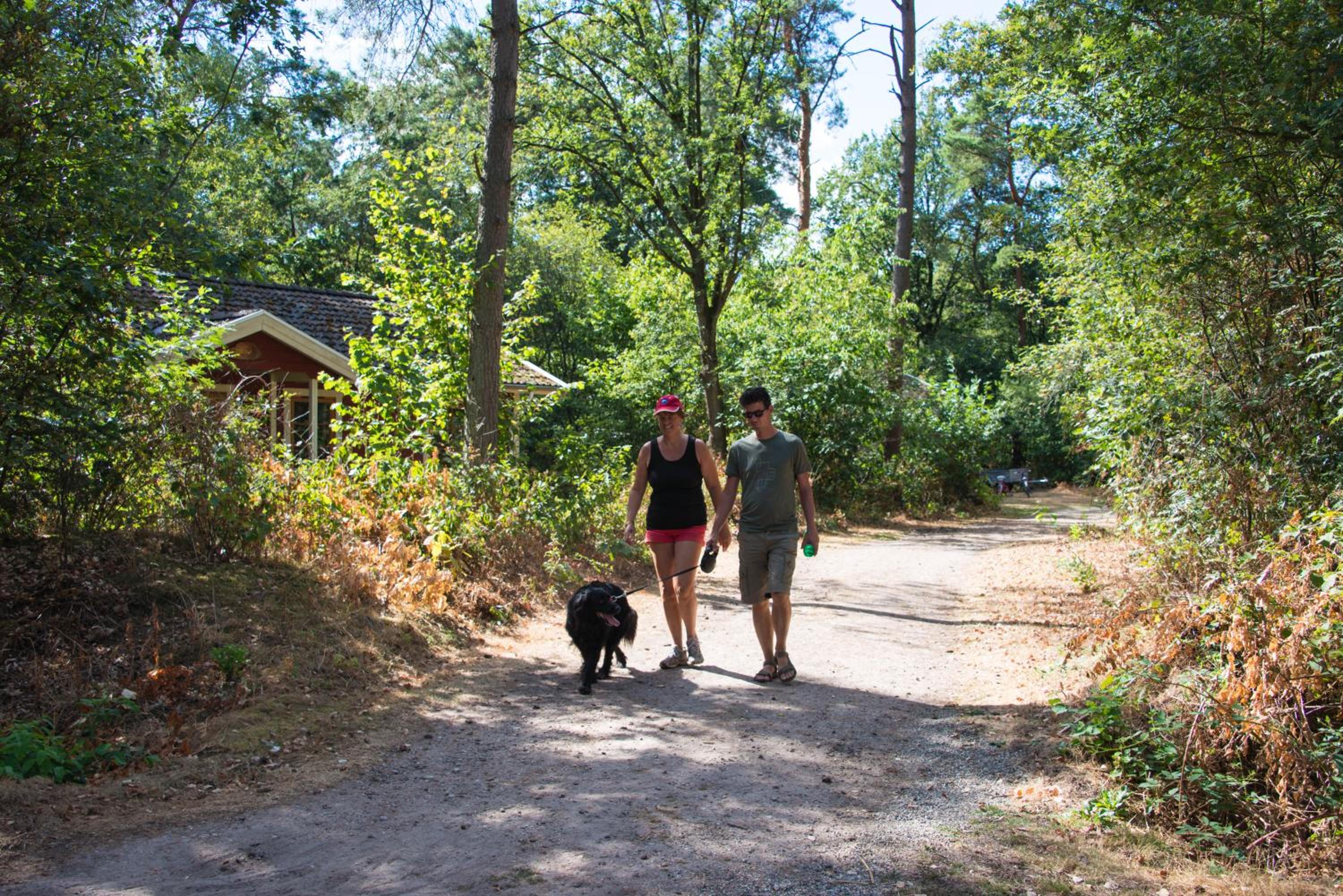 EuroParcs De Wiltzangh