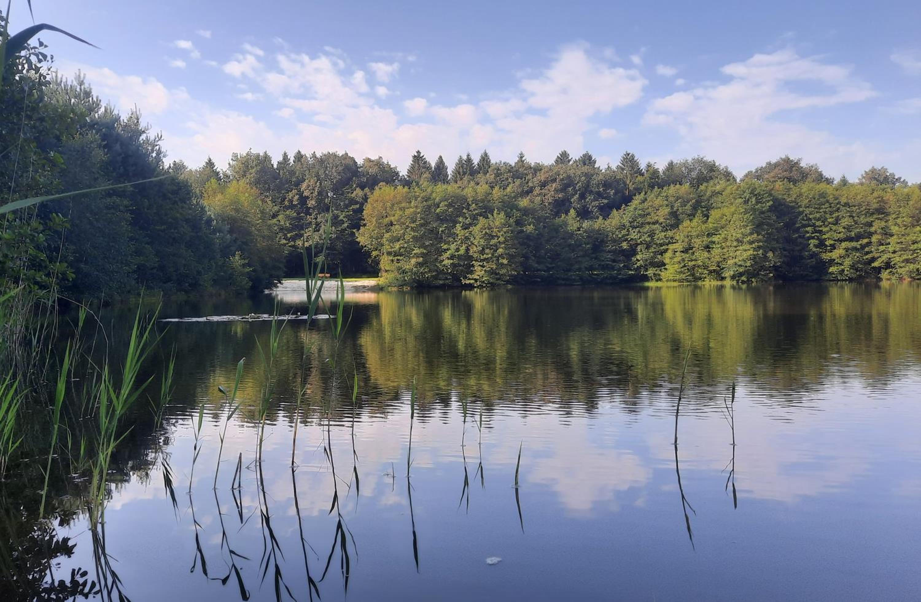 Forsthaus Gödens