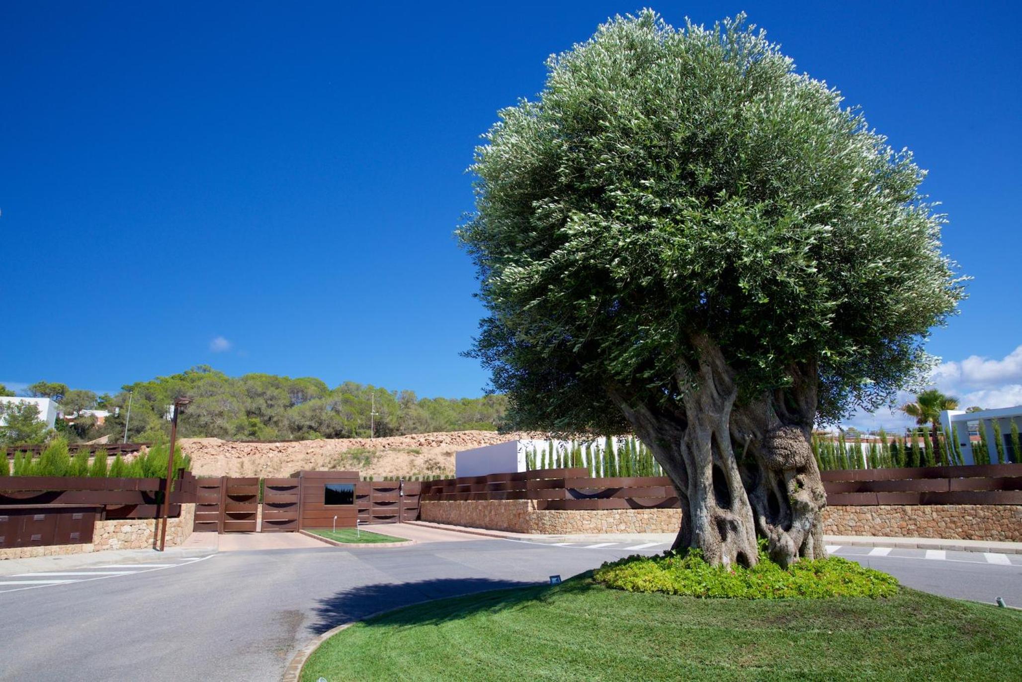 Contemporary Ibizan Villa Cala Conta Dream Short Walk To Beach San Jose