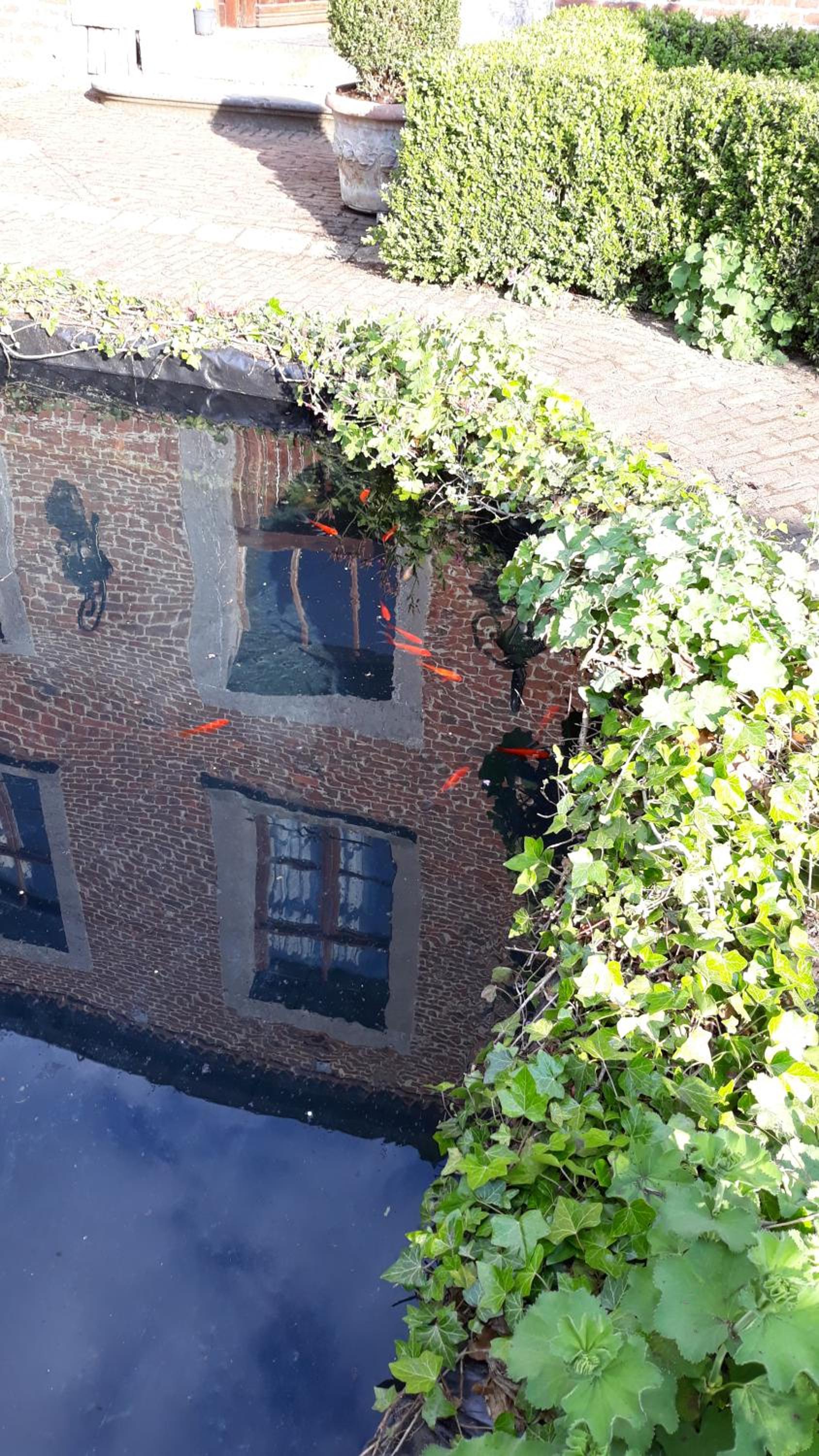Gite avec piscine La Buissiere - Fernelmont