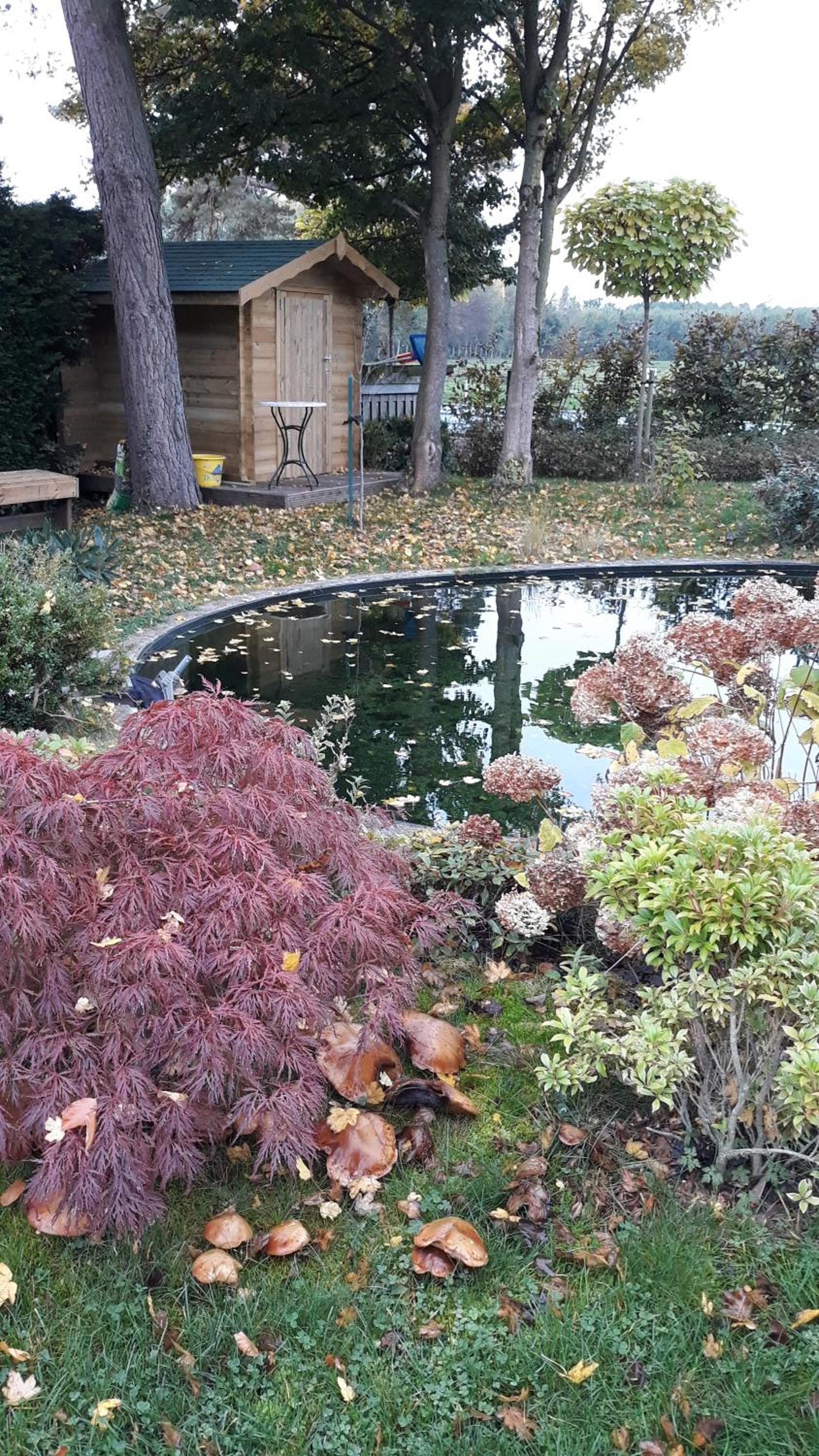 Gite avec piscine La Buissiere - Fernelmont