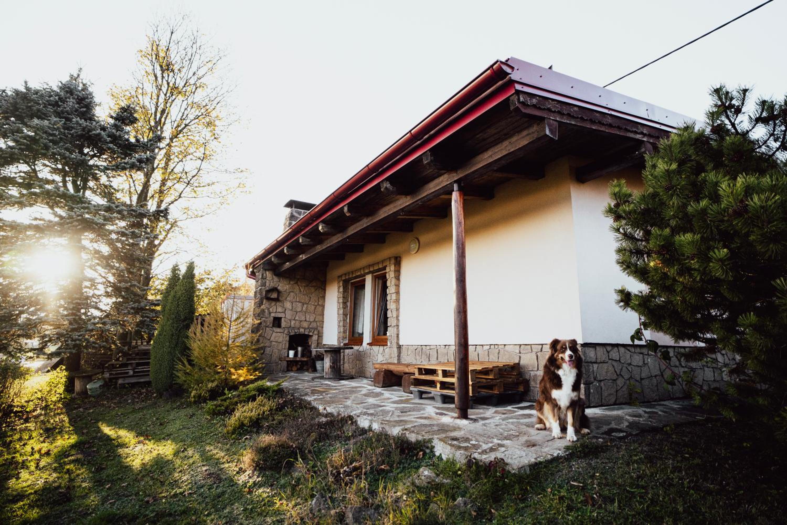 Photo 25