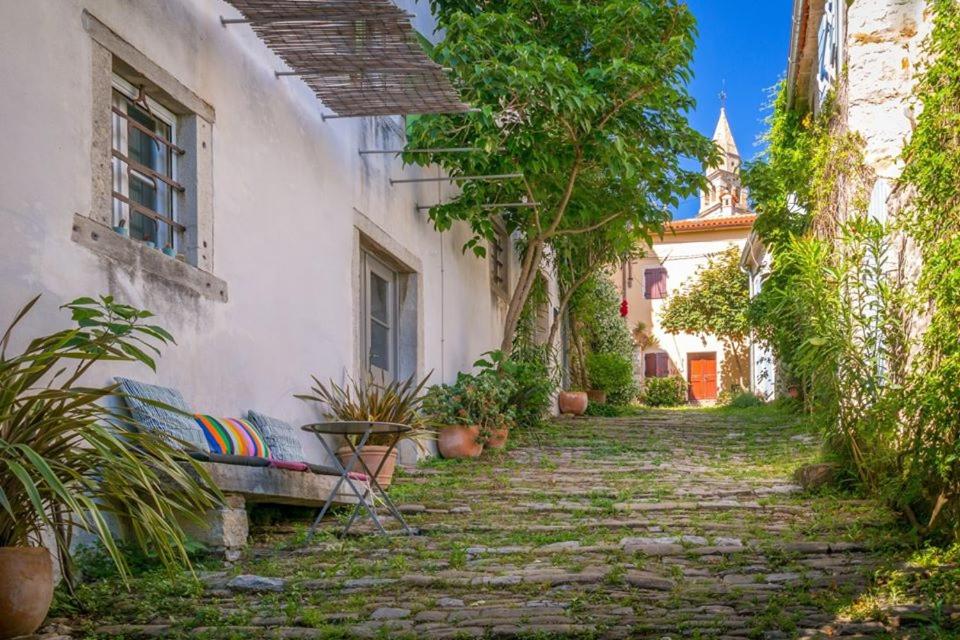 Casa Pino Pina view 4