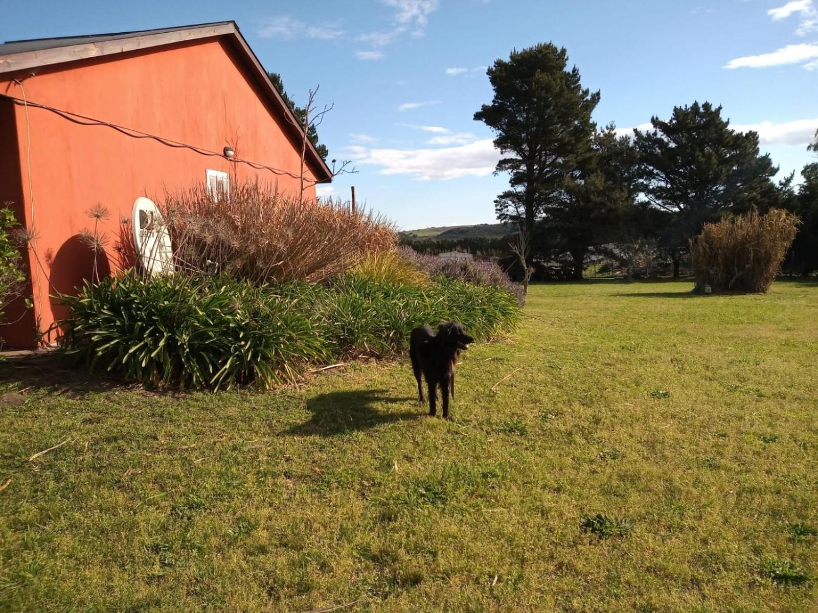 El Descanso del Montañes