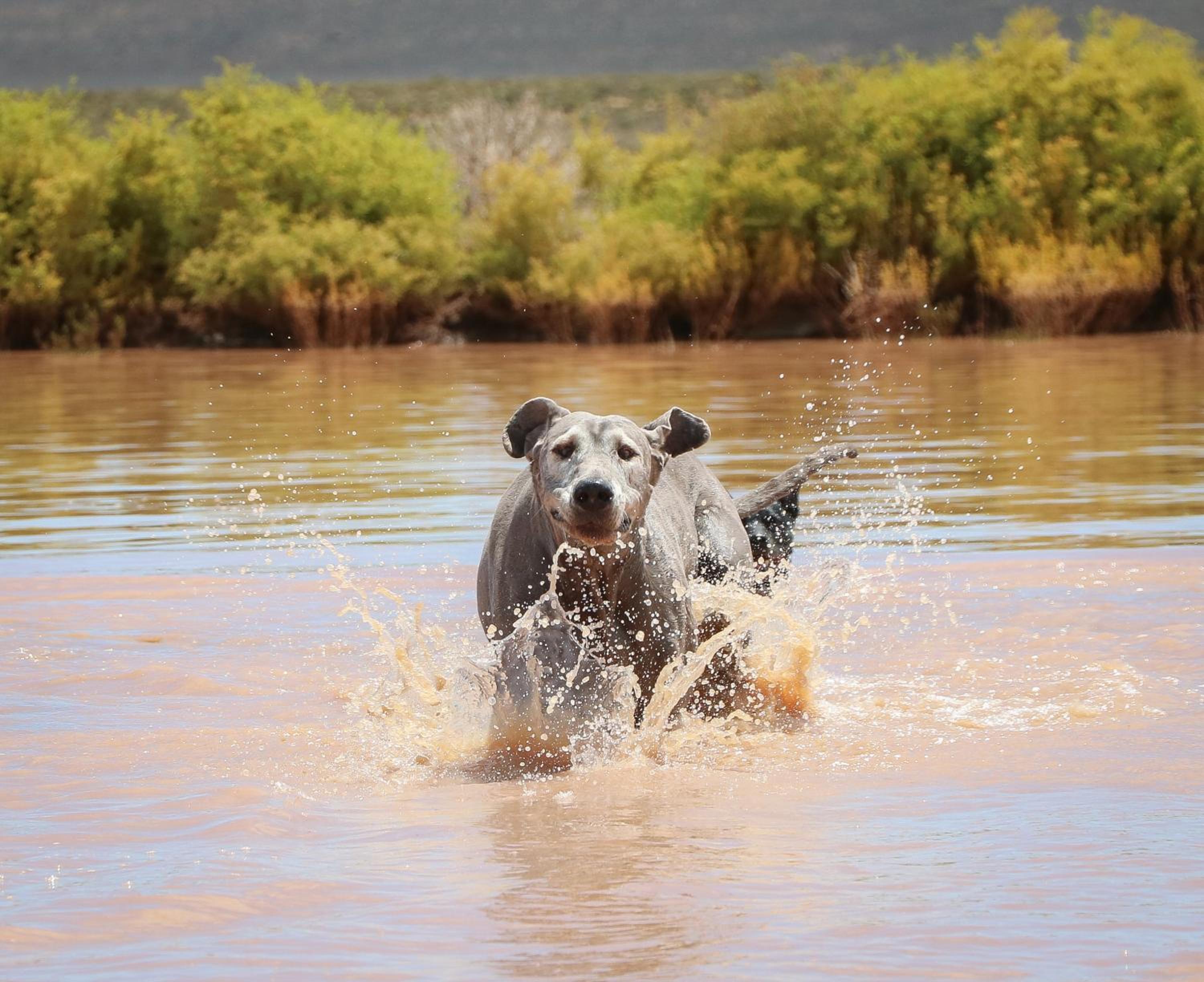 Oupoort Eco & Guest Farm - Sutherland - Middelpos