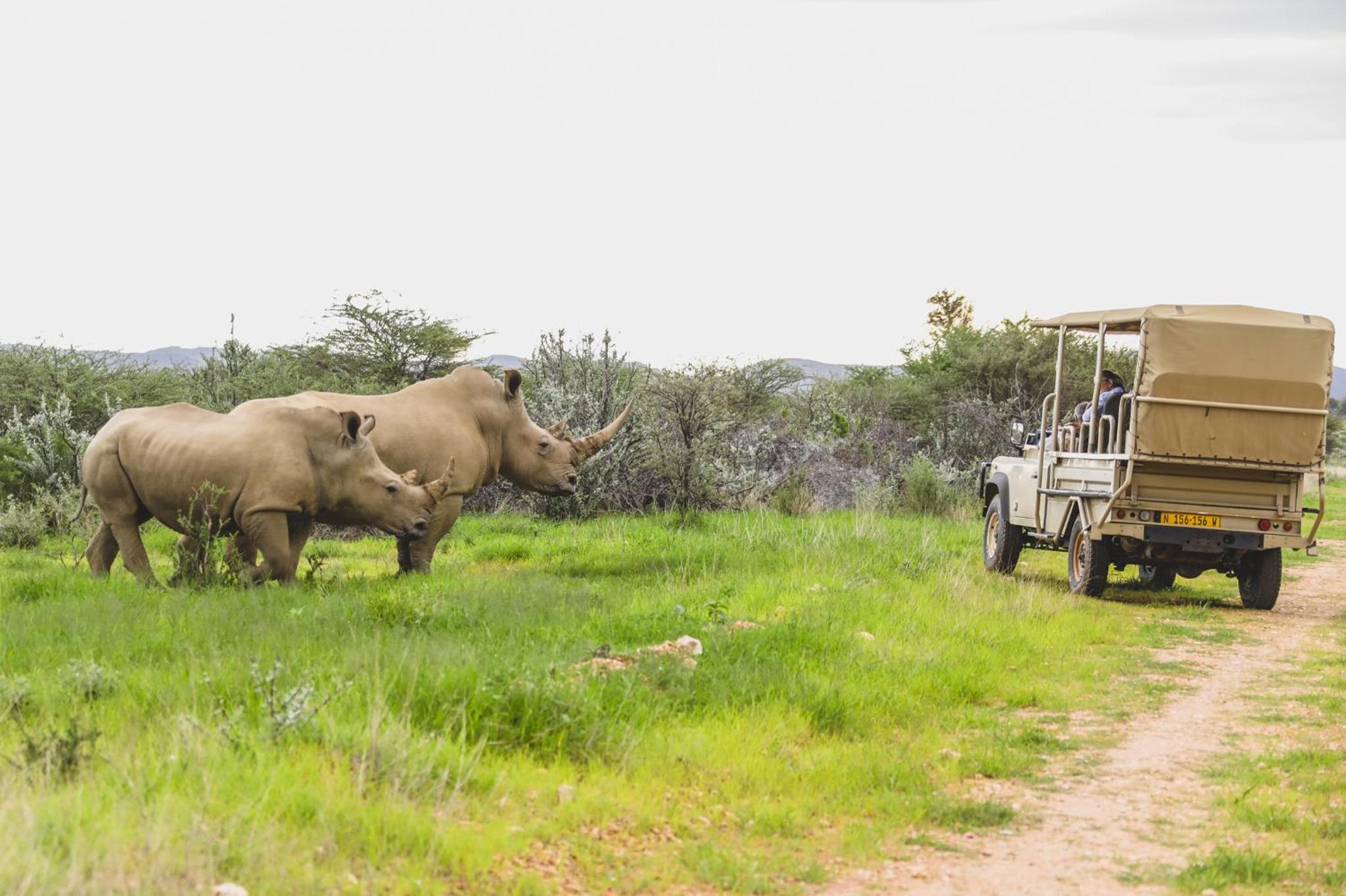 Okapuka Safari Lodge