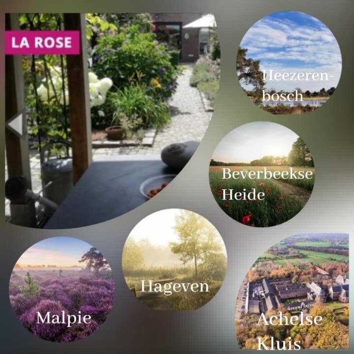 La Rose