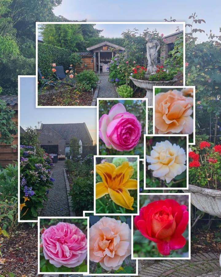 La Rose