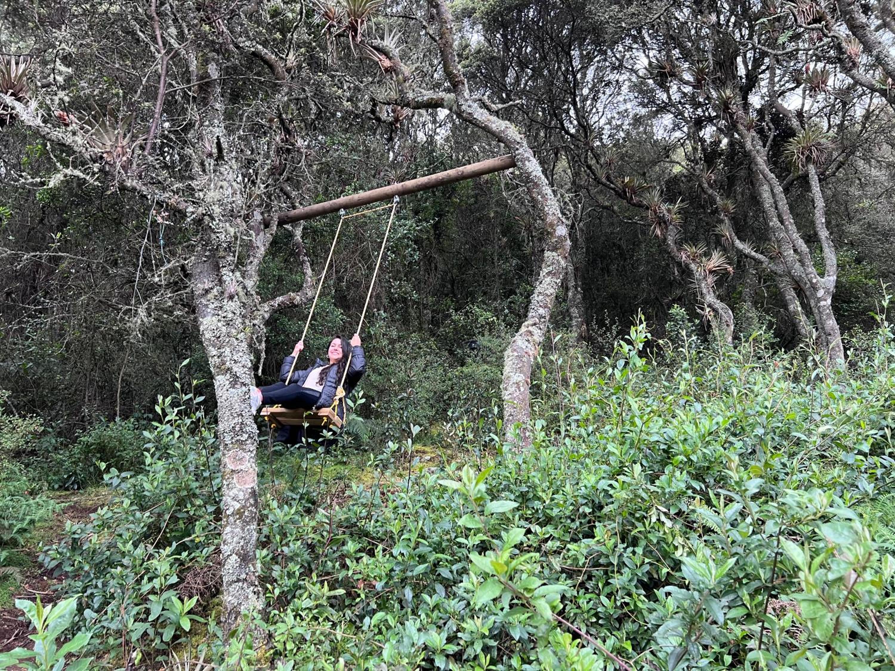 Mirador Bosque Gran Torino Neusa