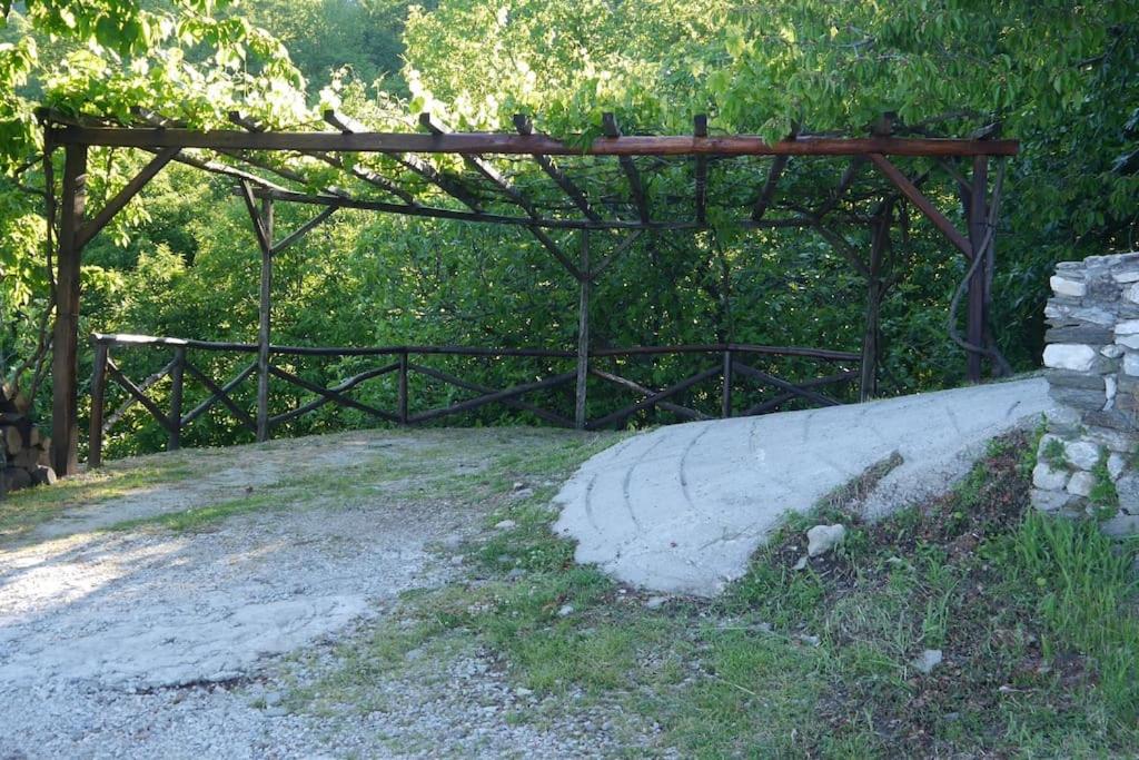 Photo 45