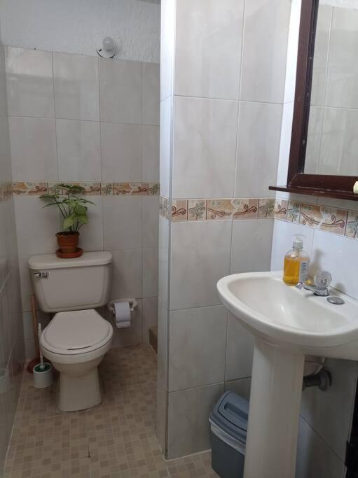 Apartamento con linda terraza en San Antonio