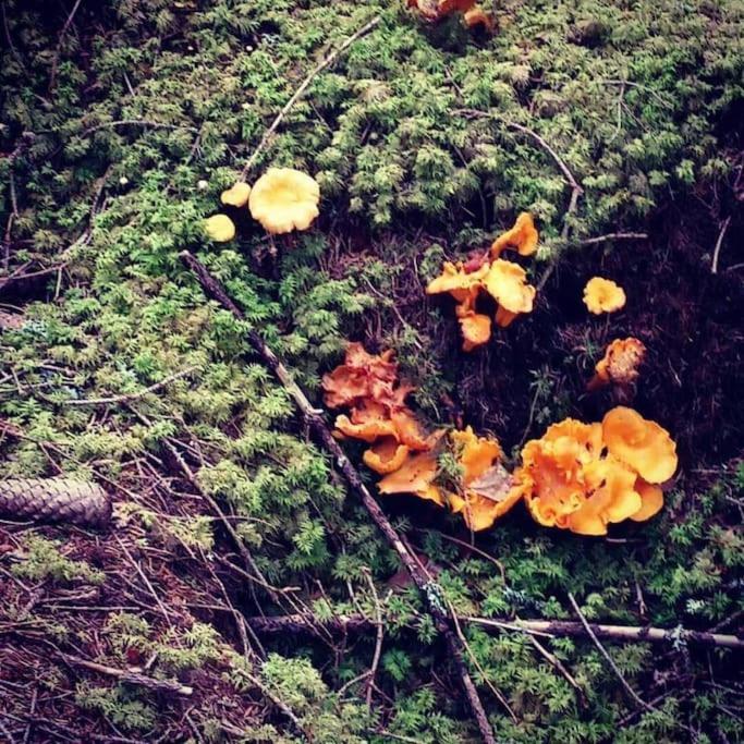 Photo 40