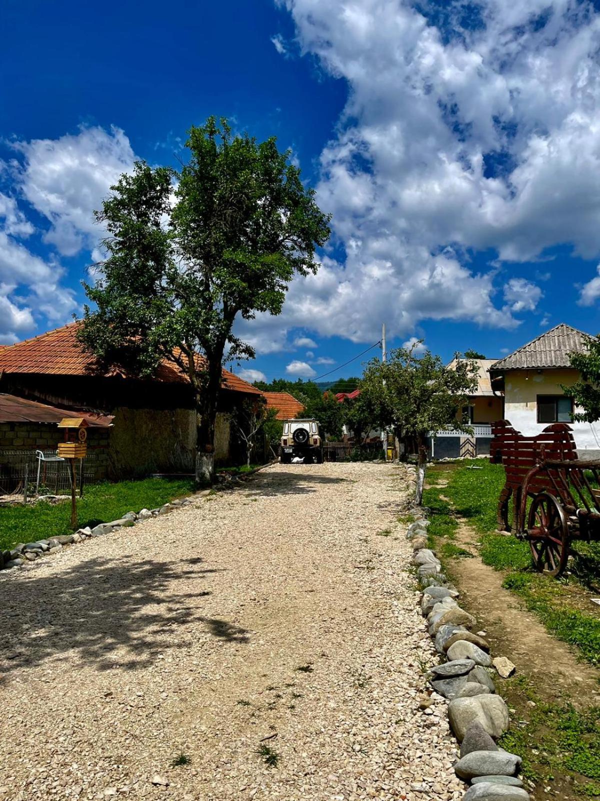 Casa bunicilor din Leresti view 2