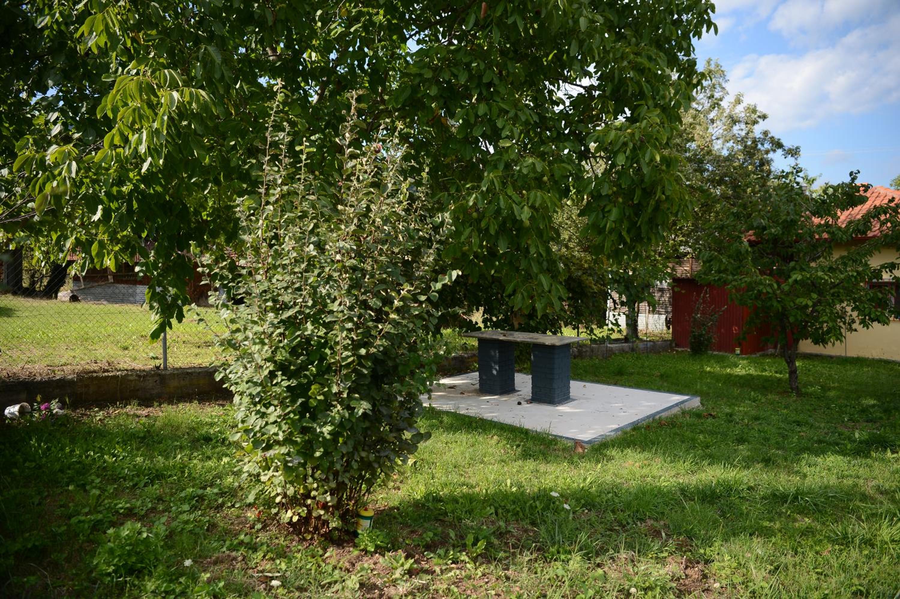 Photo 10