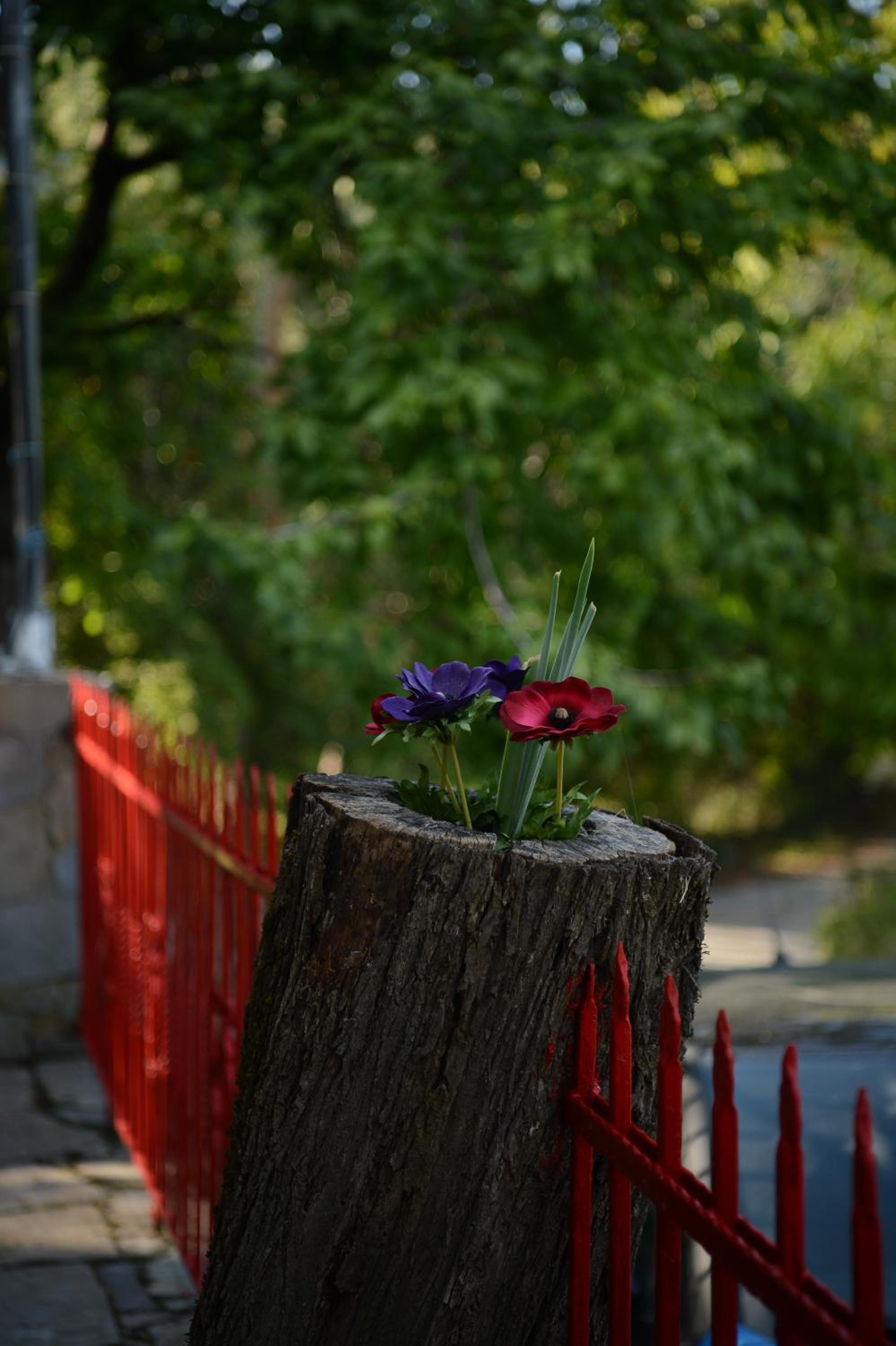 Photo 20
