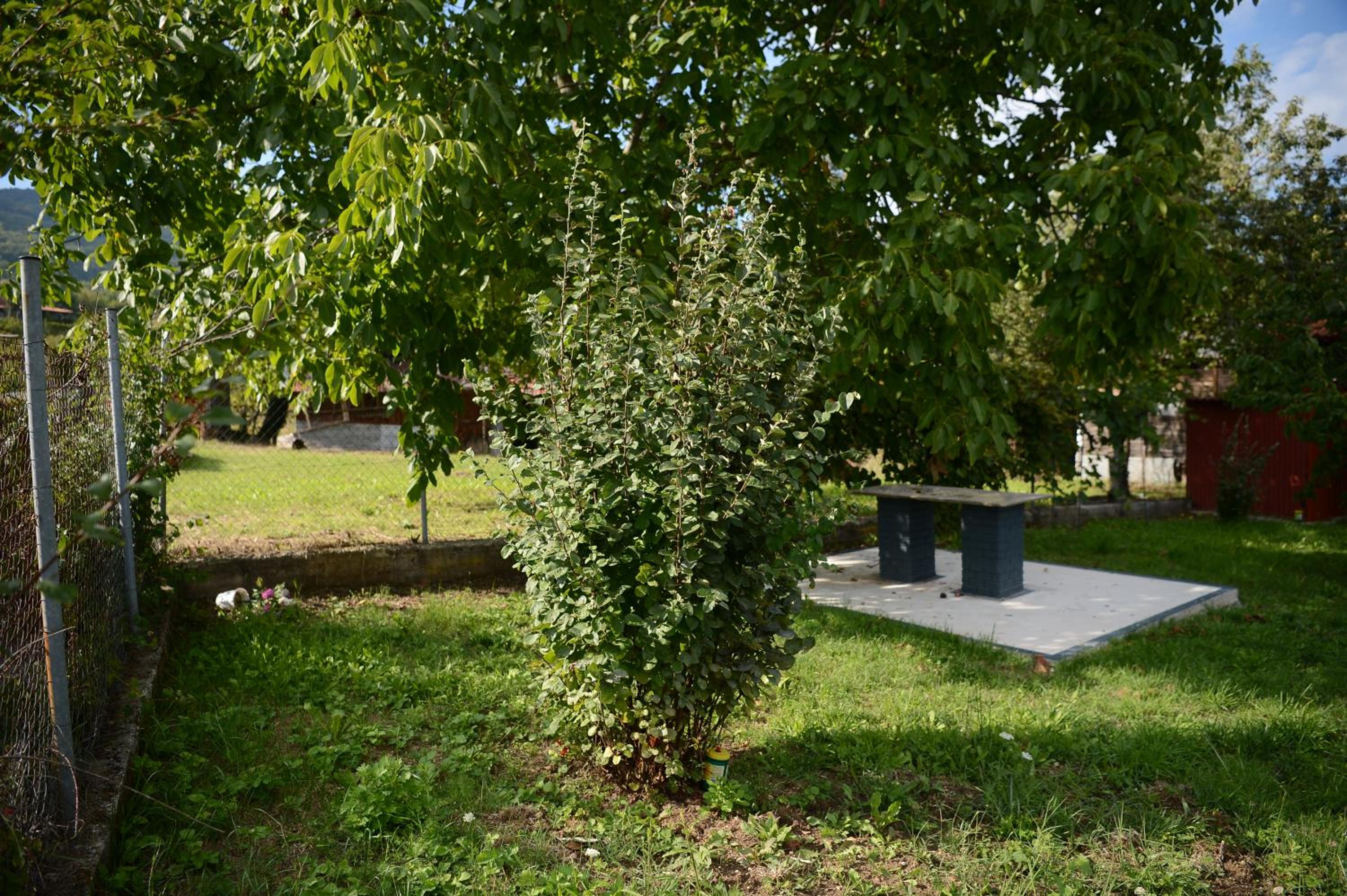 Photo 26