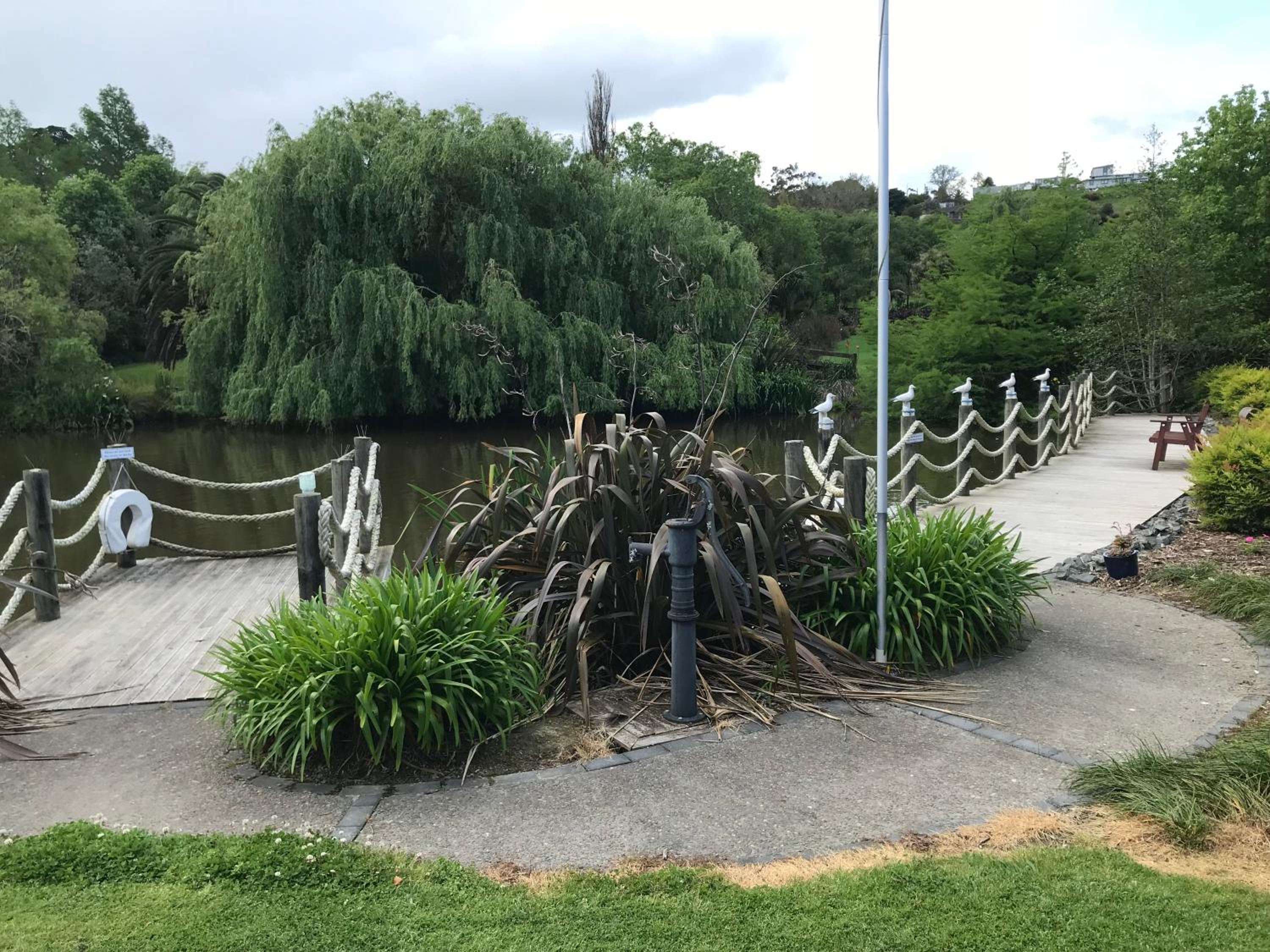Photo 19