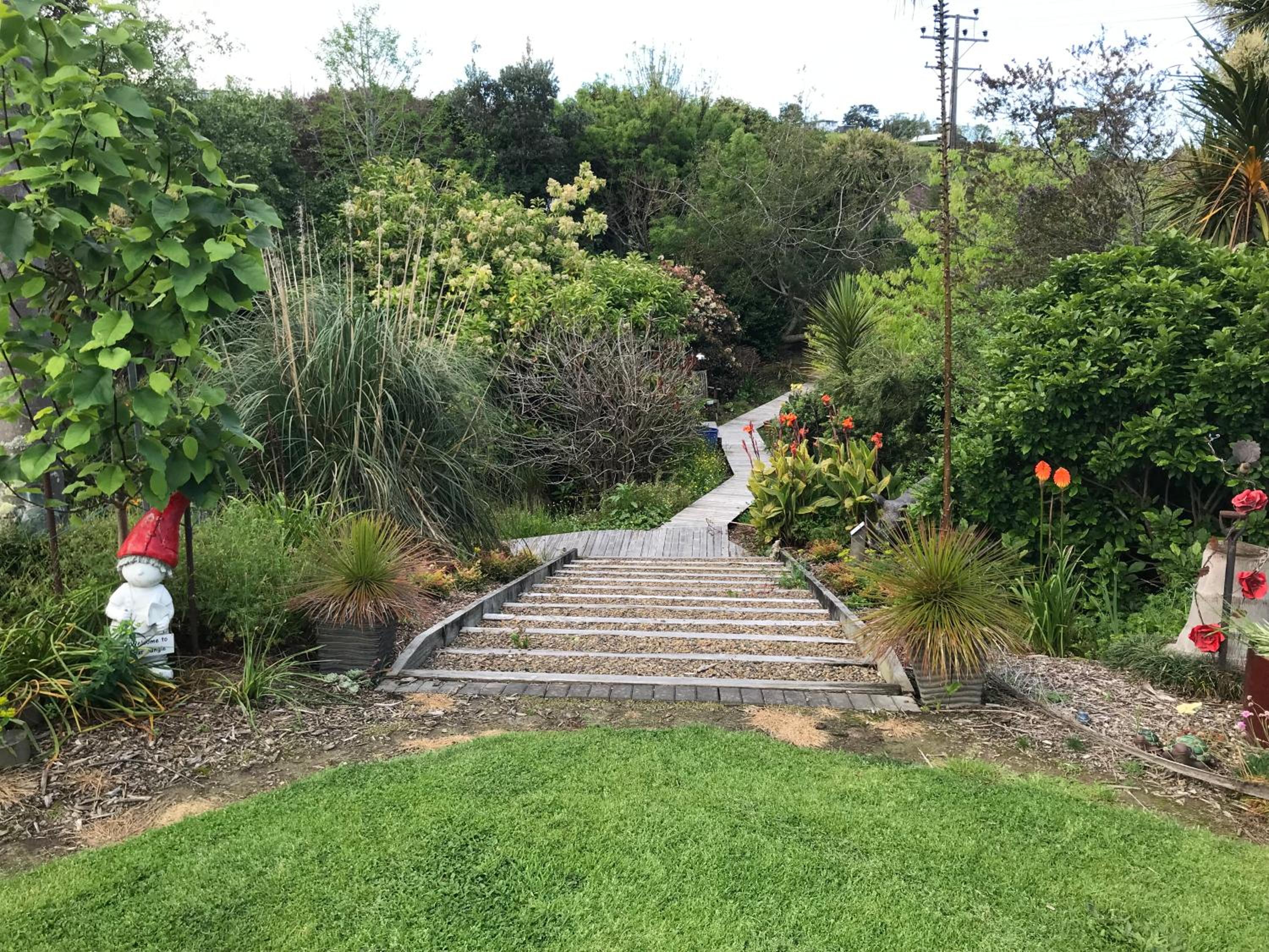 Photo 26