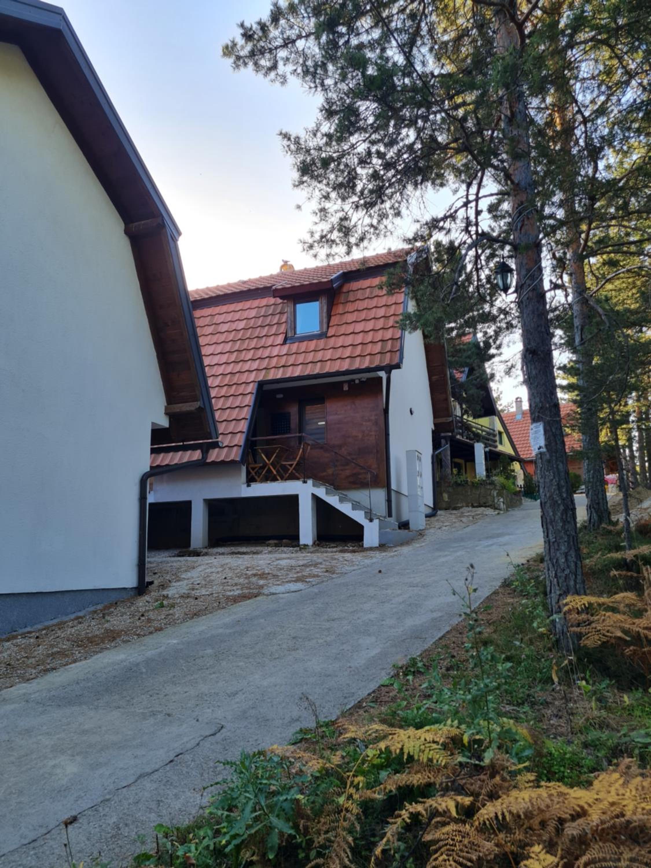 Šumor šume - Tara view 3