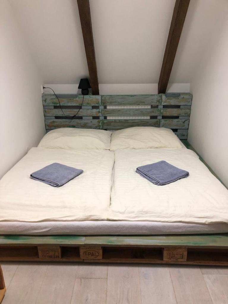 Apartmány Kojákovice - Třeboň