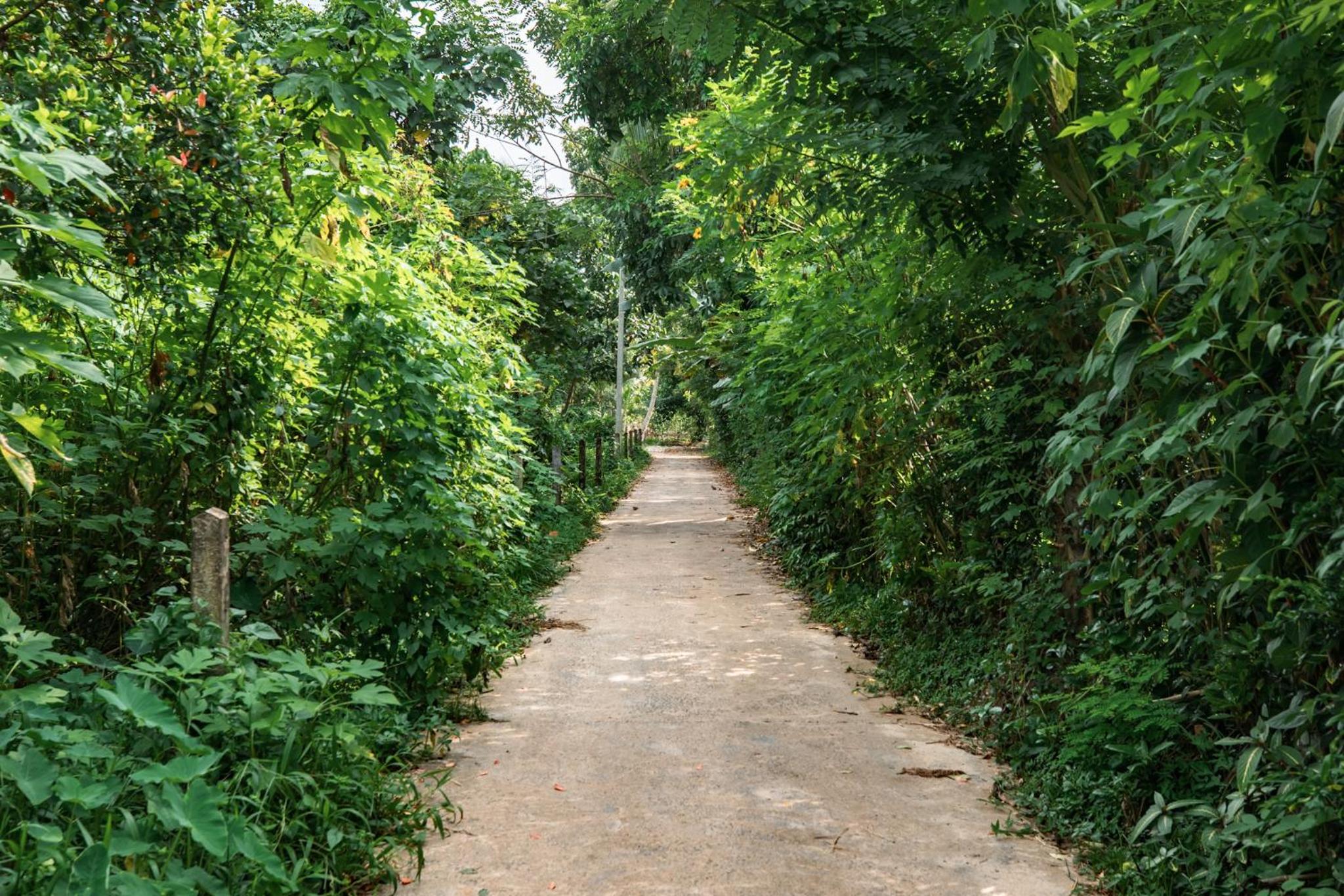 Photo 47