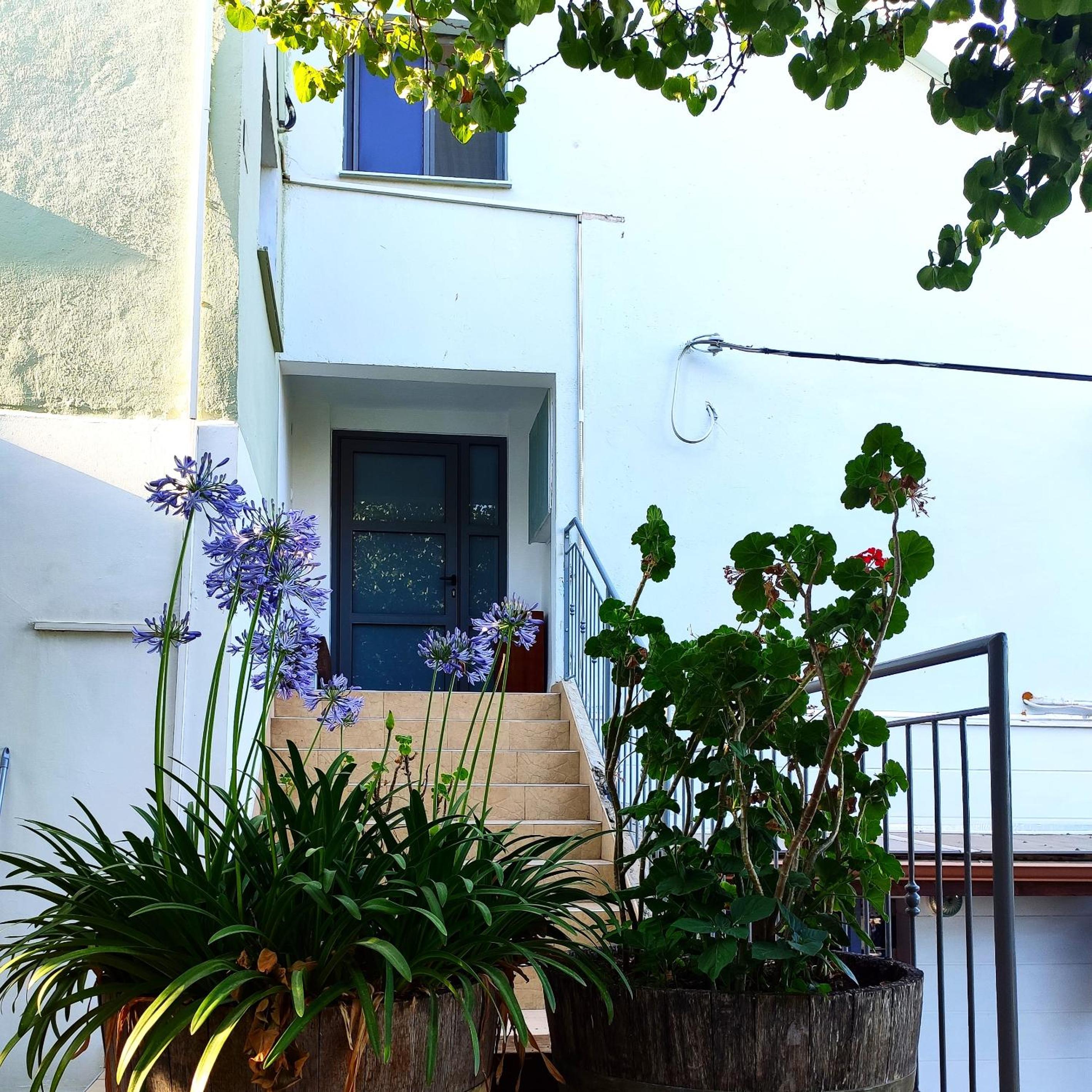 House by the Moon, photo 3