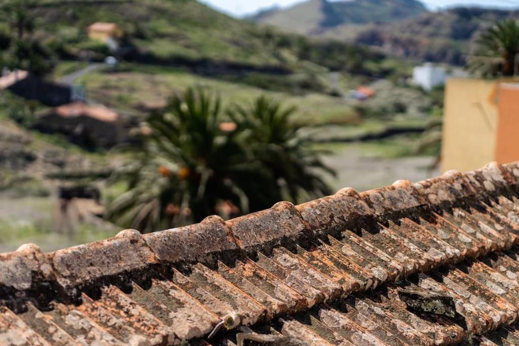 Vivienda Vacacional Rosa Blanca