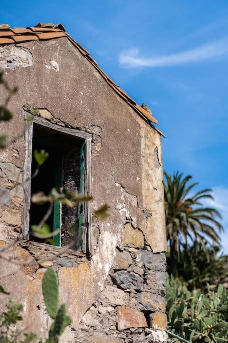 Vivienda Vacacional Rosa Blanca