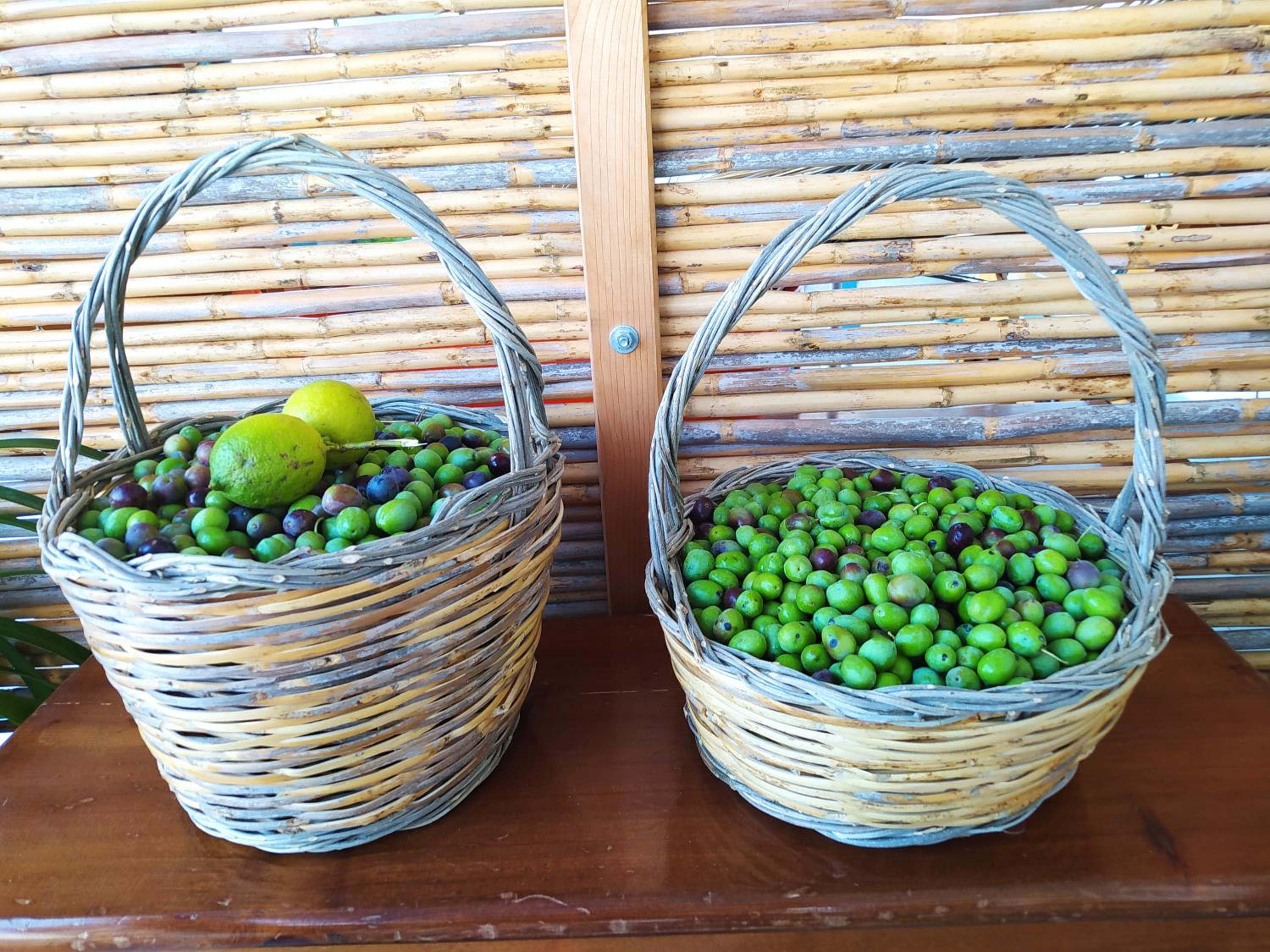 CasaAntonietta