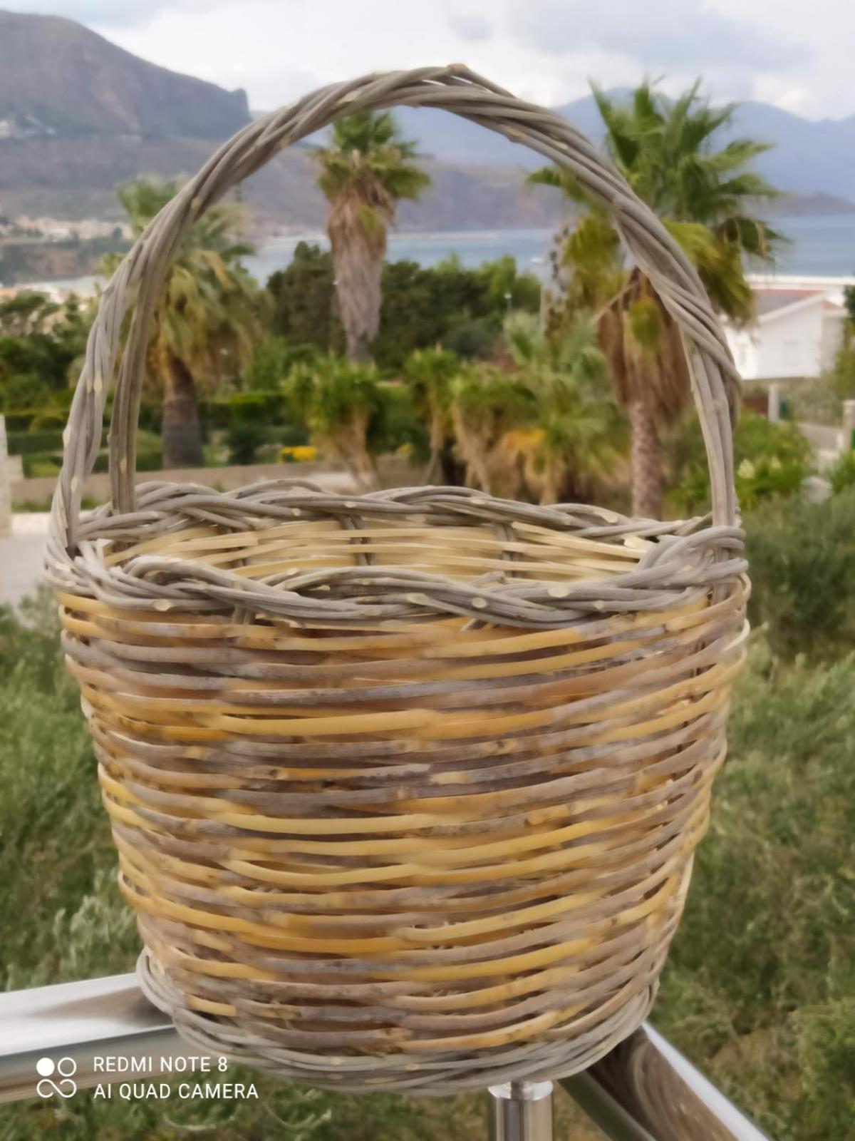CasaAntonietta