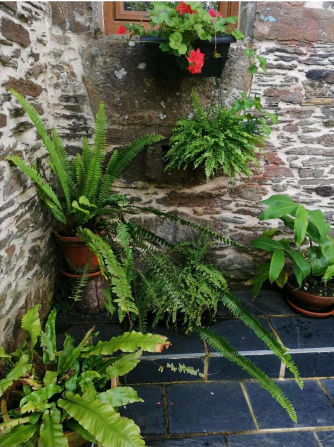 Casa de piedra en pequeña aldea de Ortigueira