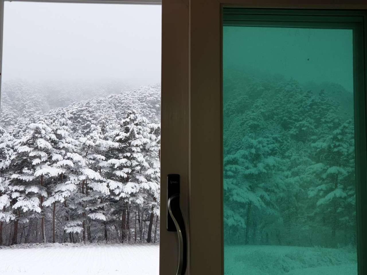 오대산 달빛펜션 Odaesan Moonlight Pension, Pyeongchang - 19