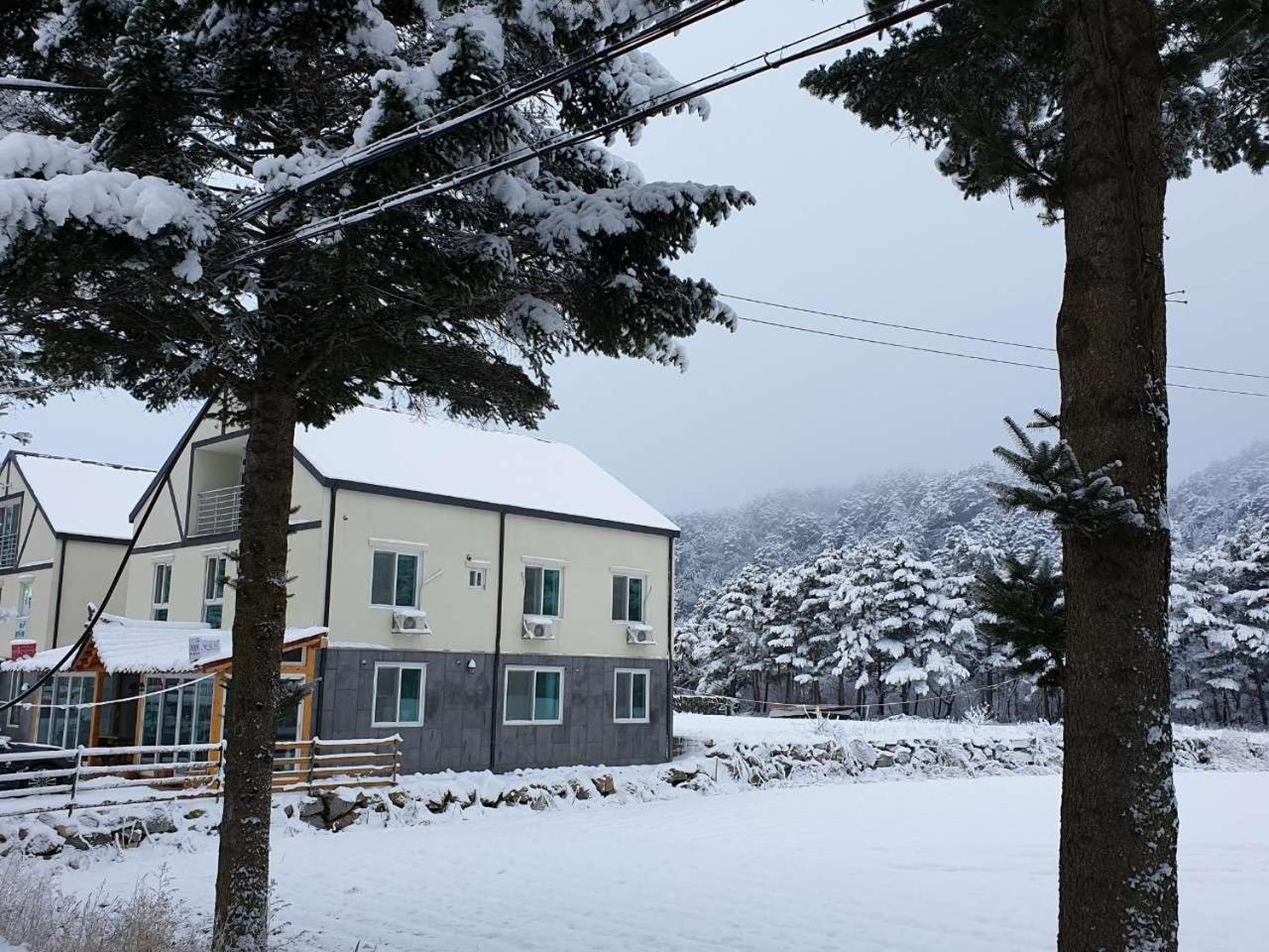 오대산 달빛펜션 Odaesan Moonlight Pension, Pyeongchang - 6