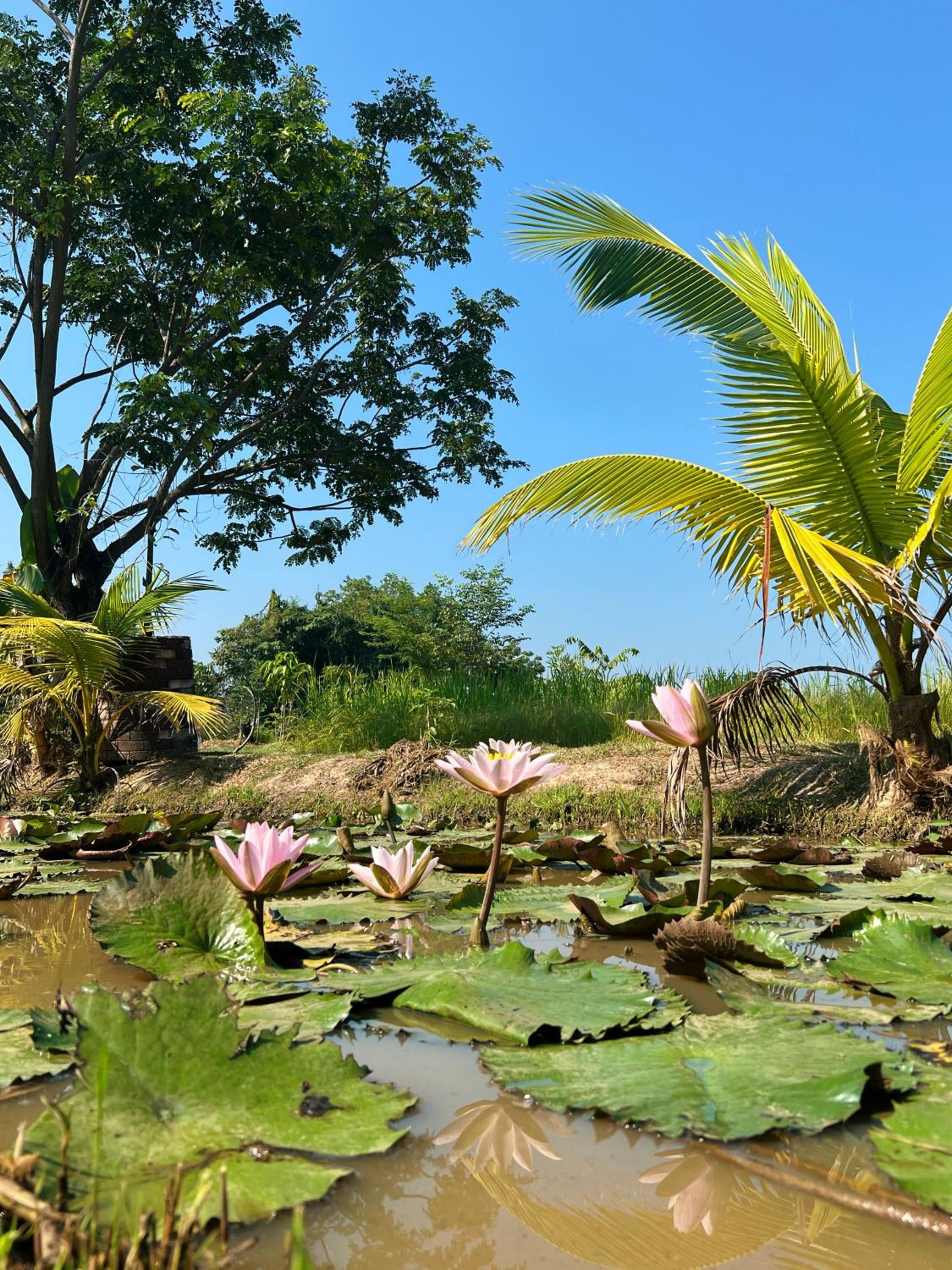 Sukhothai City Resort