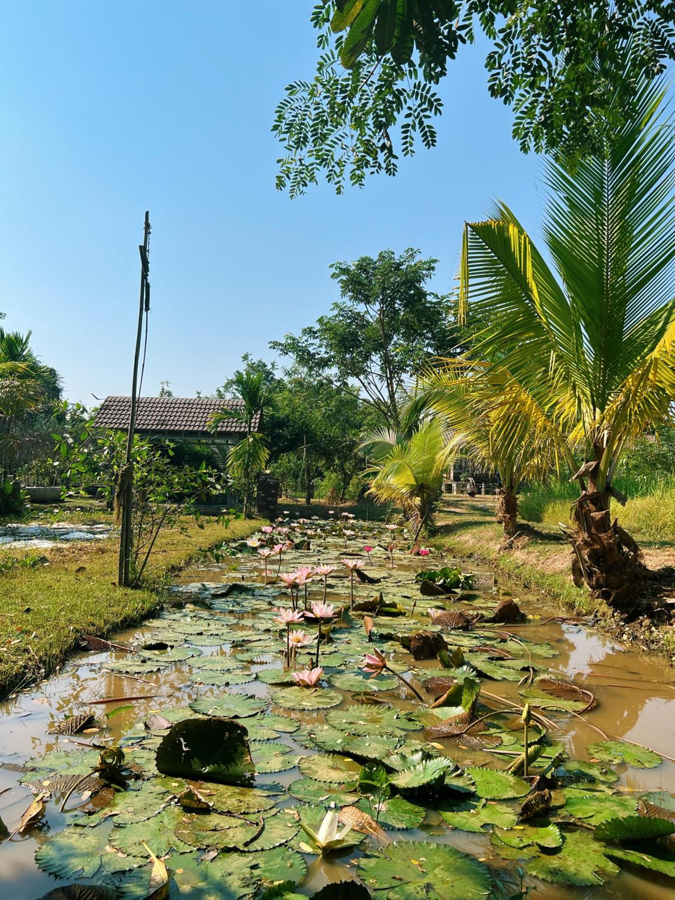 Sukhothai City Resort