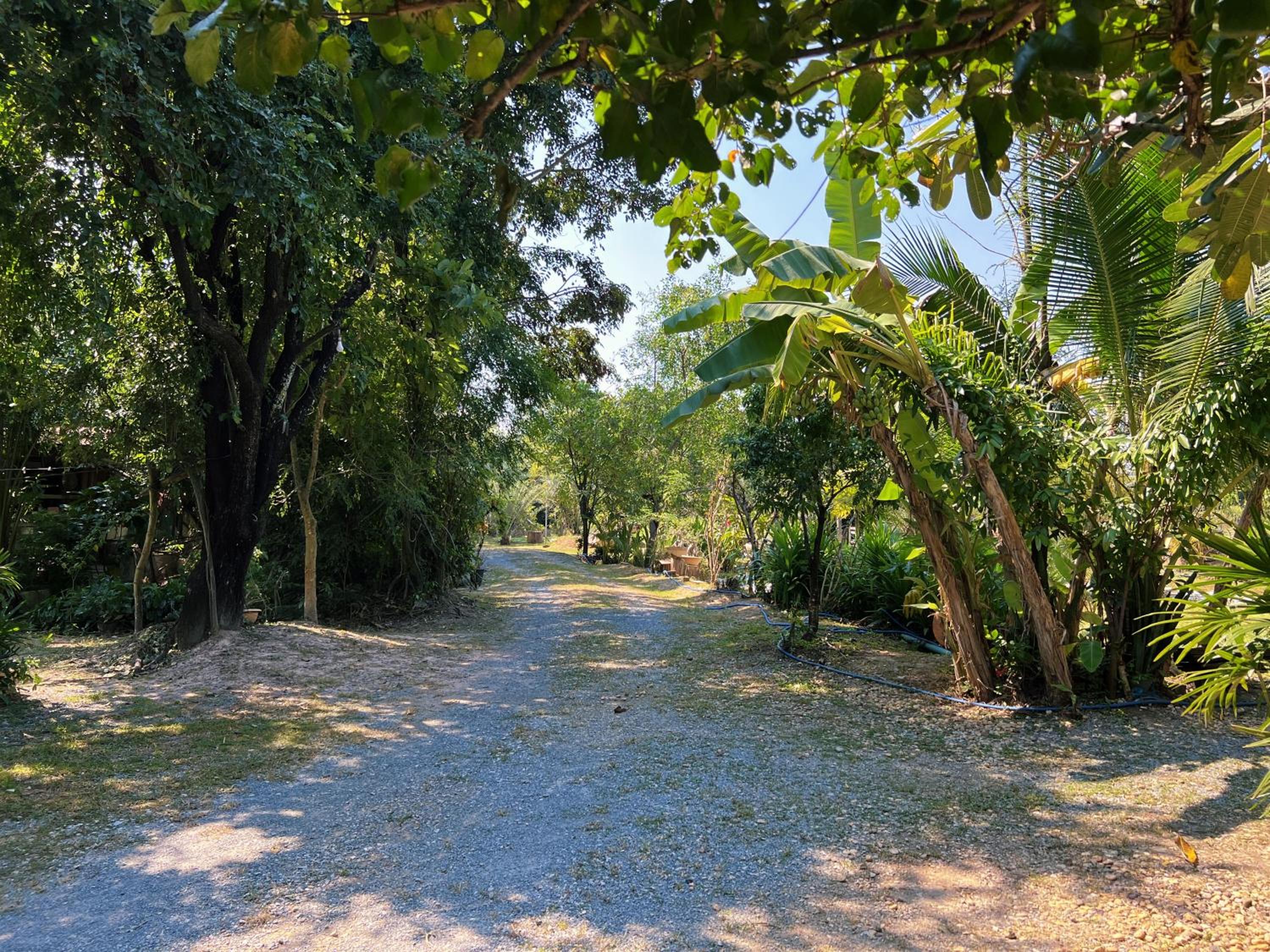 Sukhothai City Resort