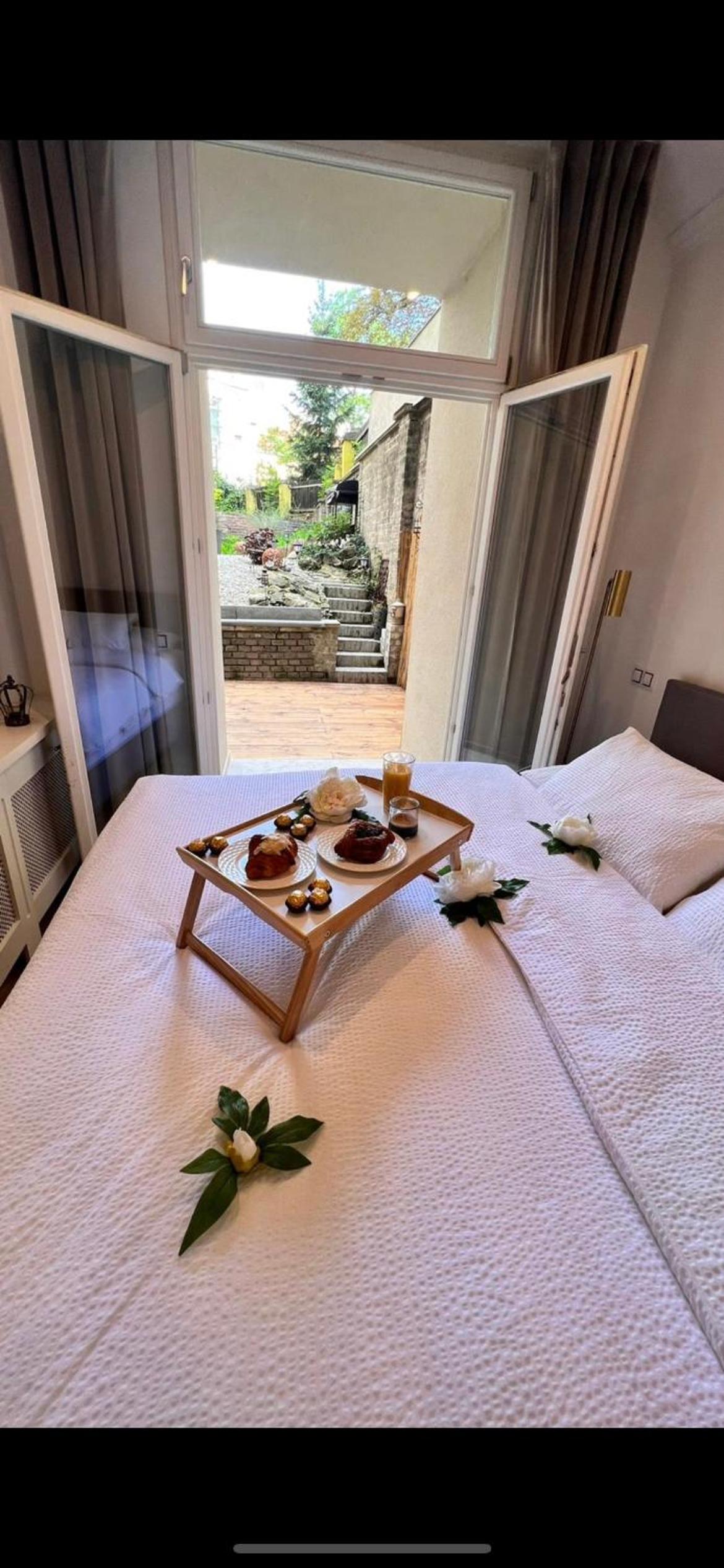 Amazing flat with garden, Vinohrady near center