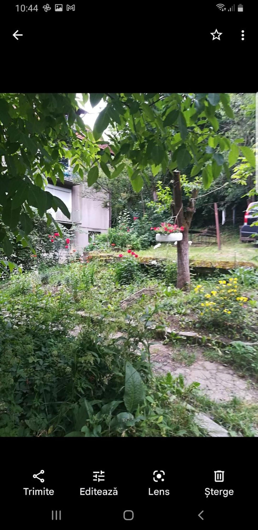 Apartament Simona