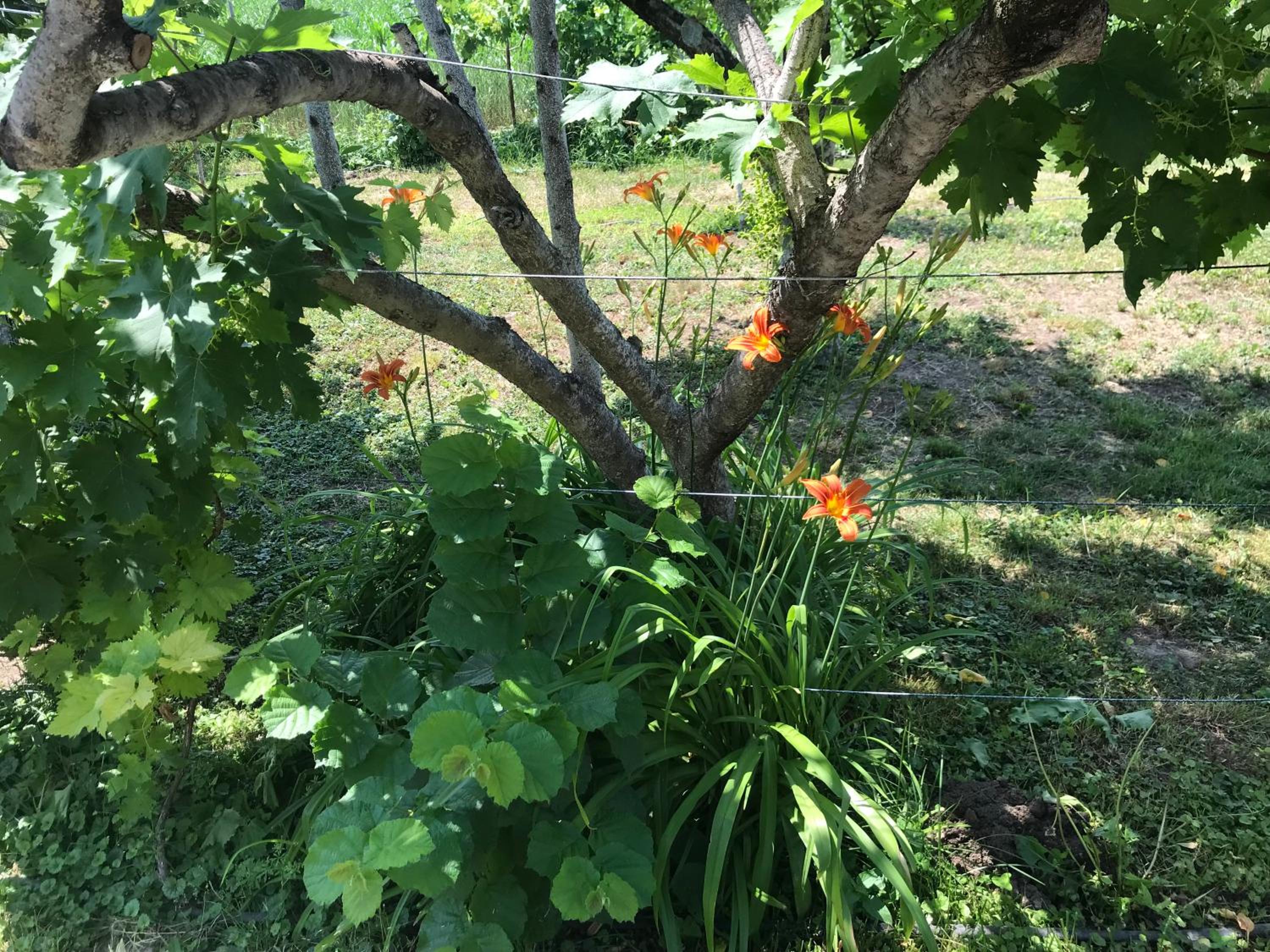 Photo 6