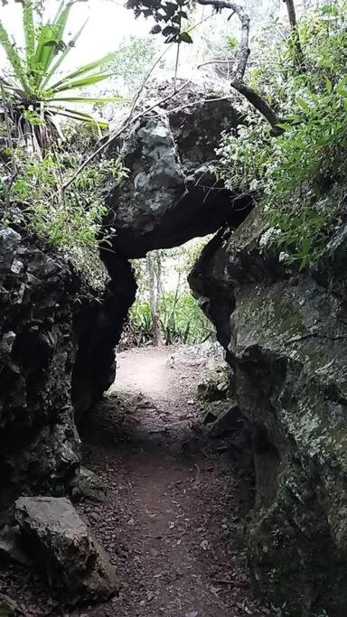 Photo 19