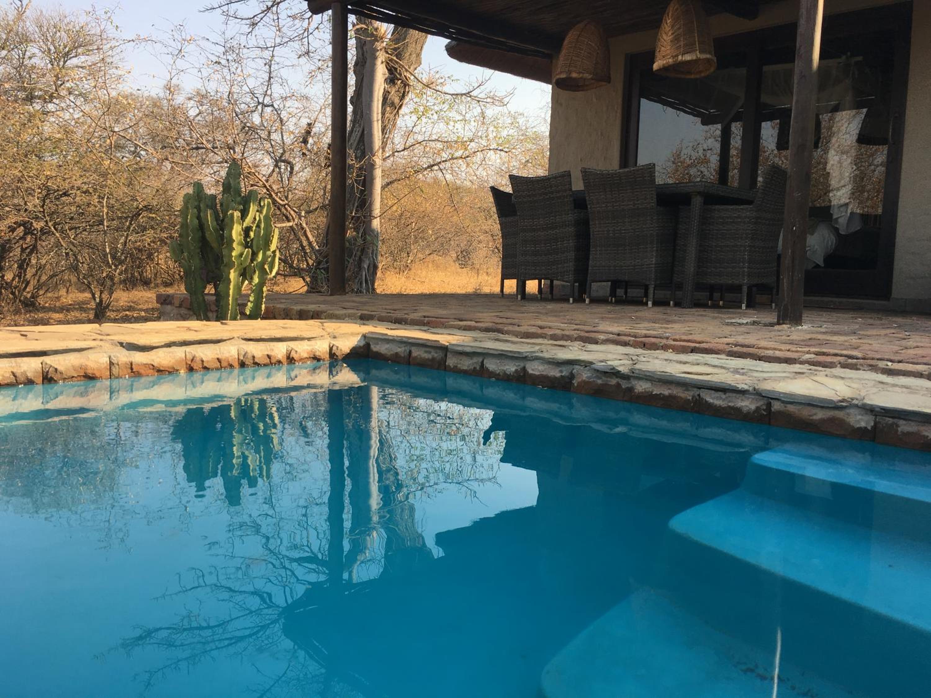 Giraffe Lodge